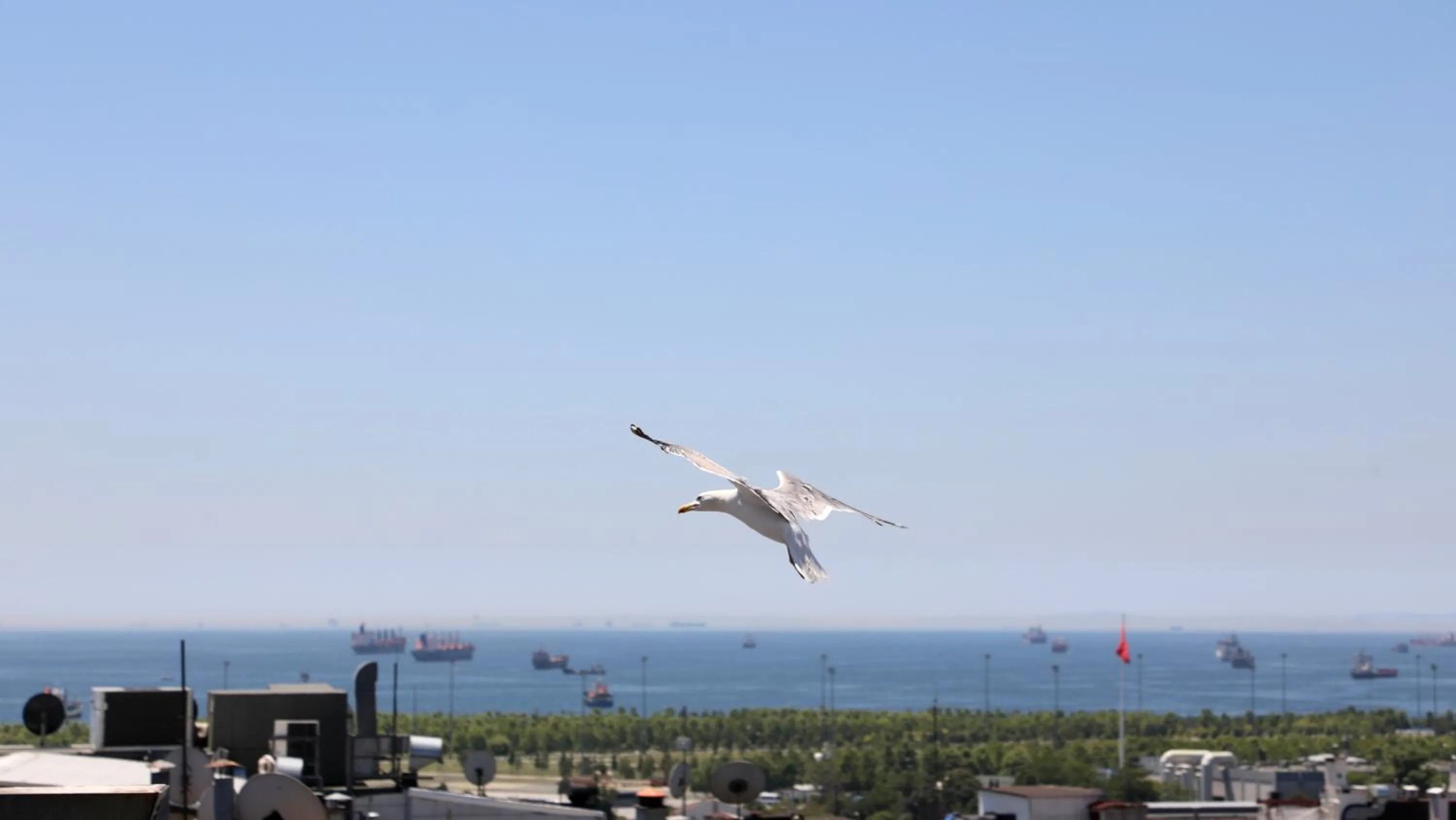 Day in Istanbul Royal Hotel