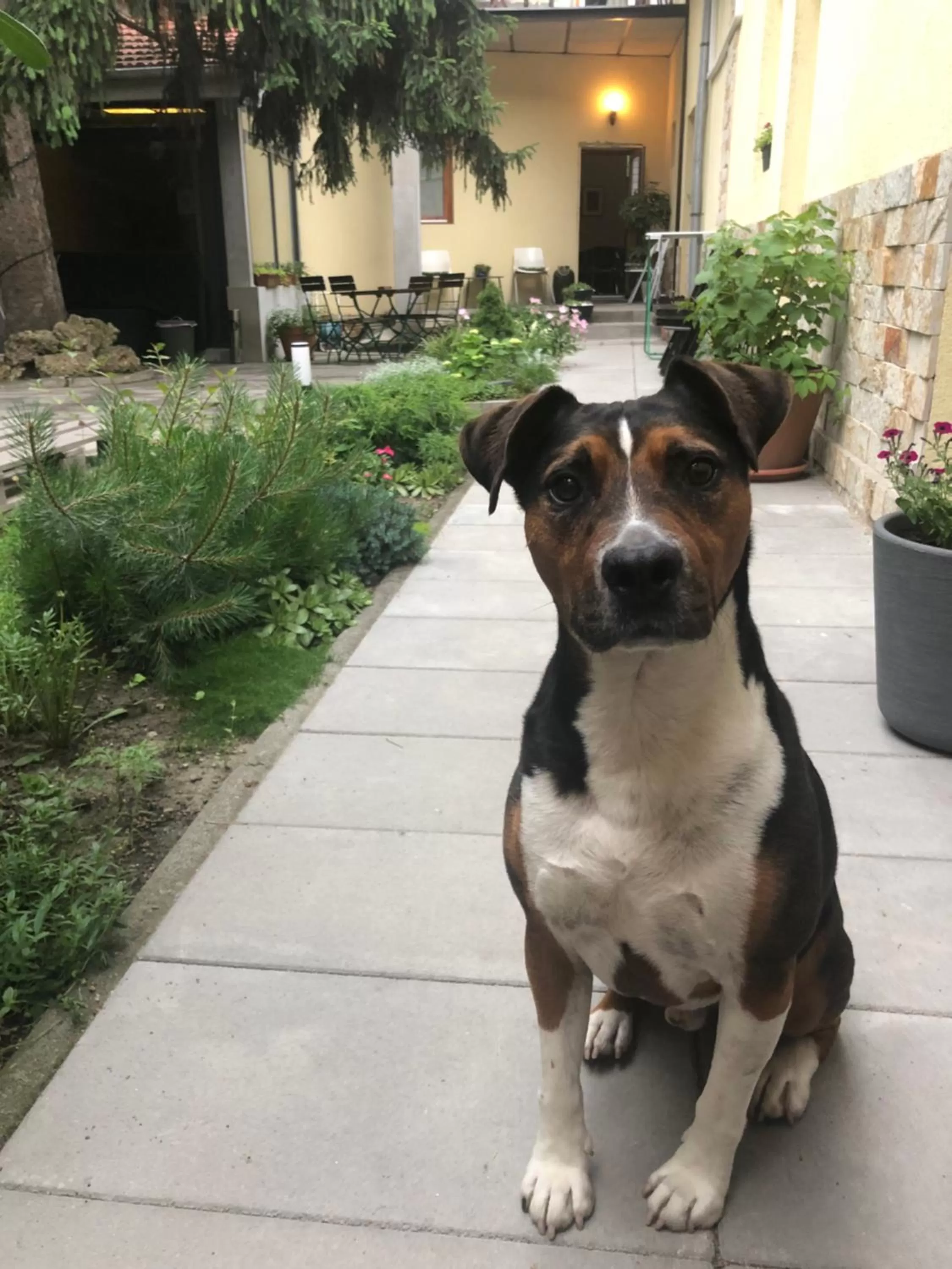 Balcony/Terrace in Margaréta Garden & SPA