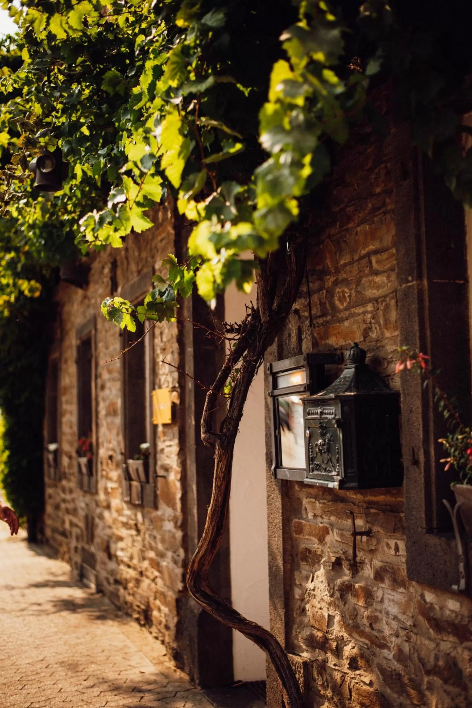 Landhaus Halferschenke