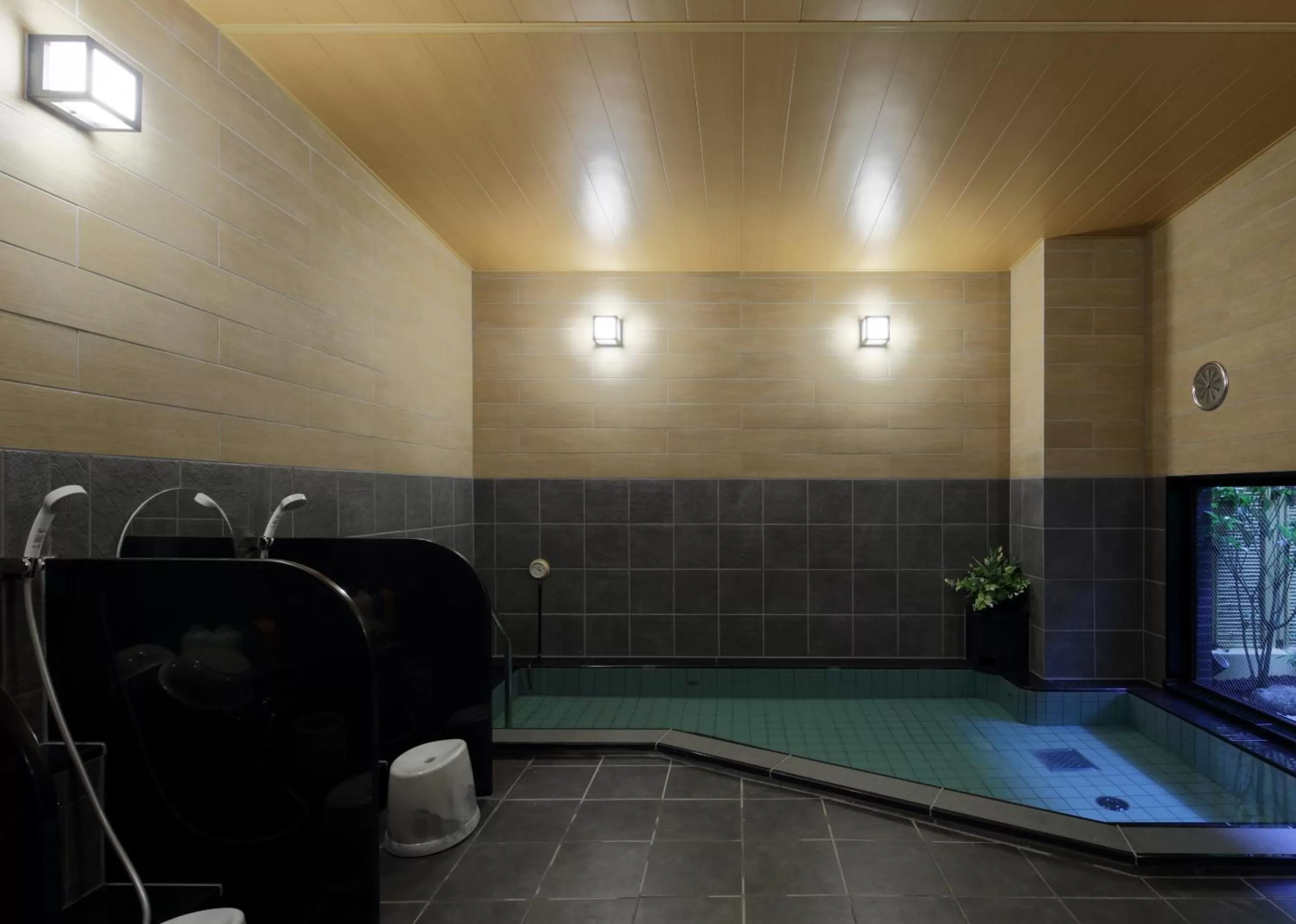 Public Bath in Hotel Route-Inn Hita Ekimae