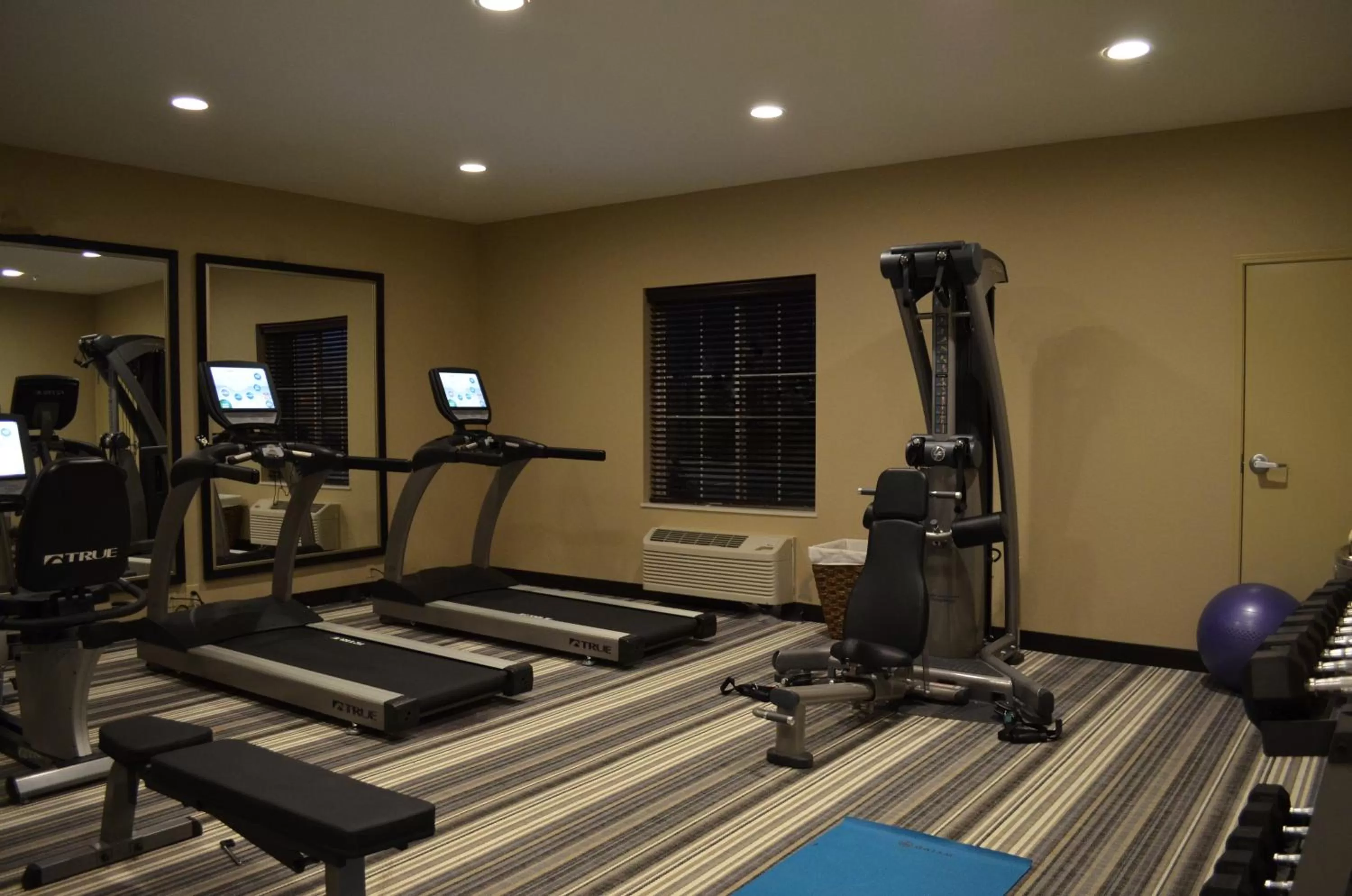 Fitness centre/facilities in Candlewood Suites Greenville by IHG