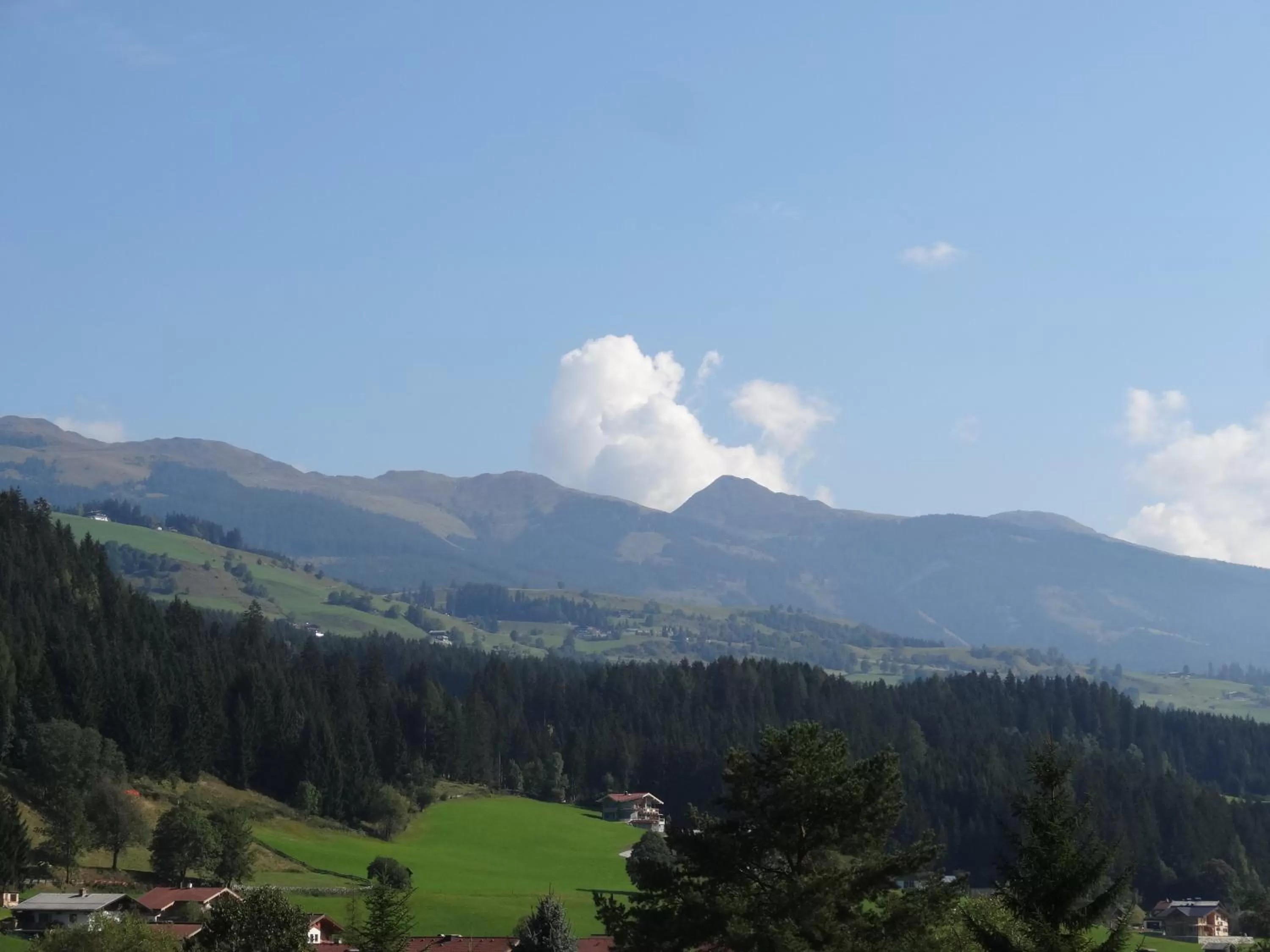 View (from property/room) in Pension Dorferwirt