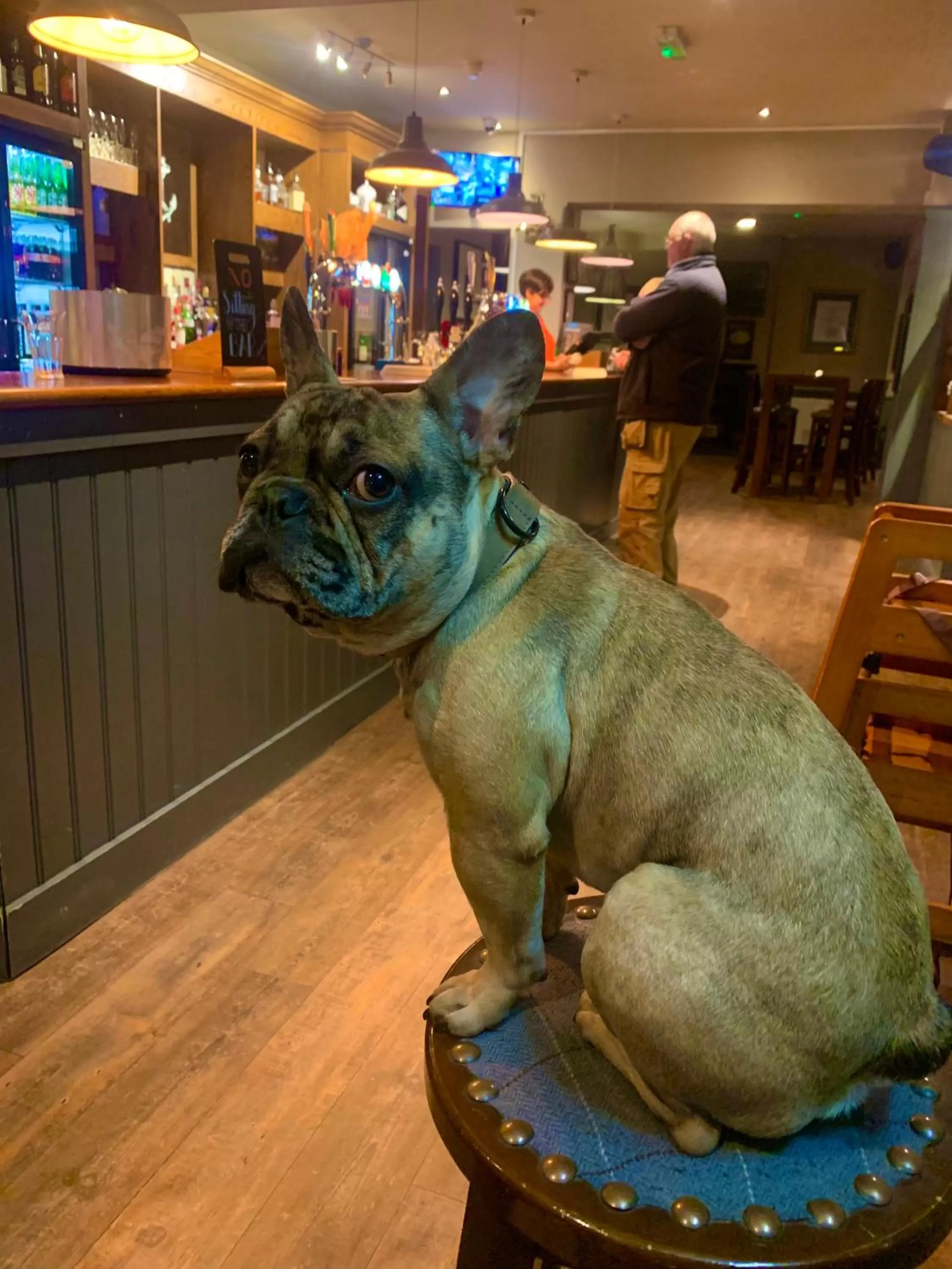 Lounge or bar in Crown & Anchor