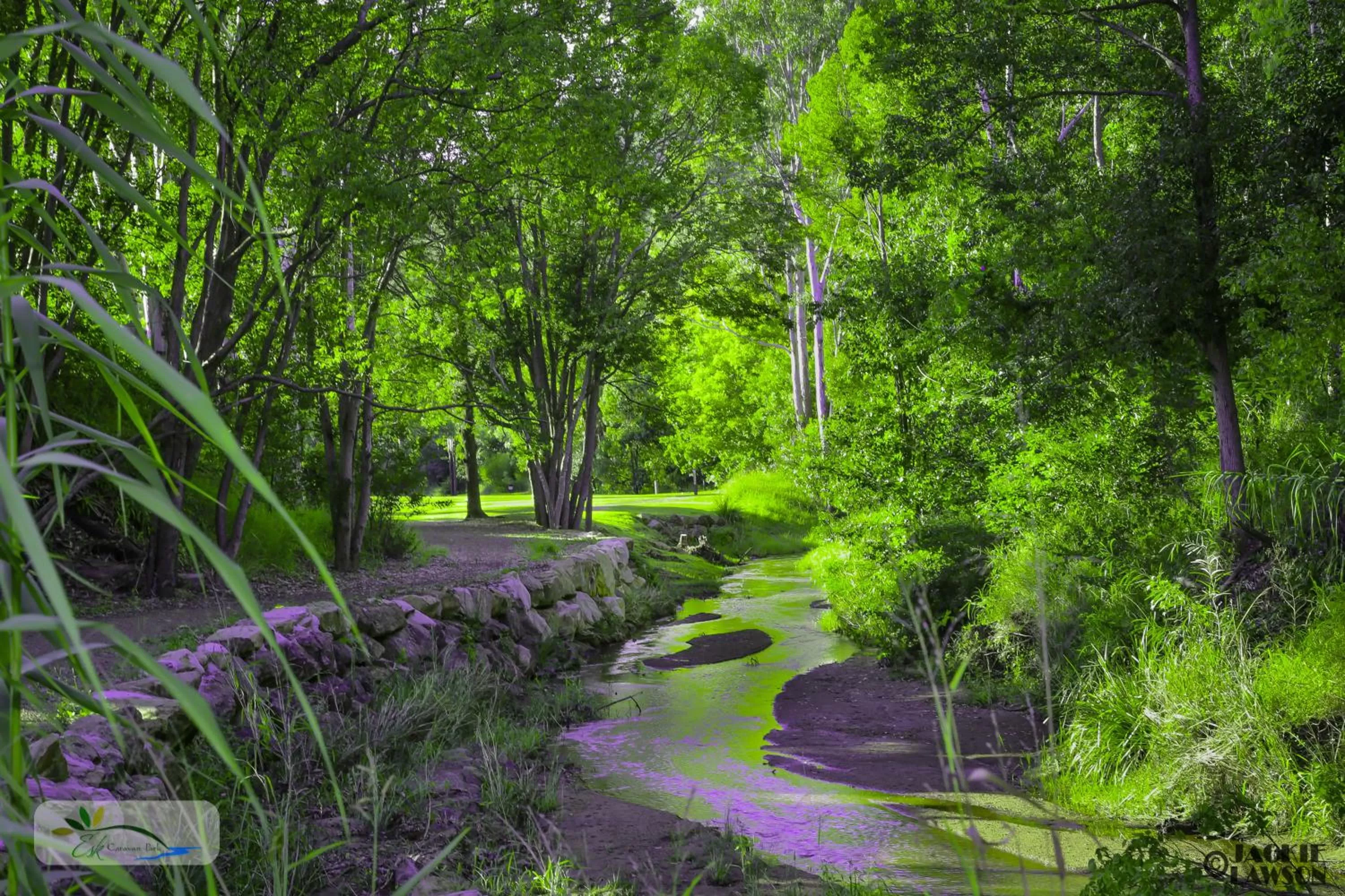 Natural landscape in Esk Caravan Park & Rail Trail Motel