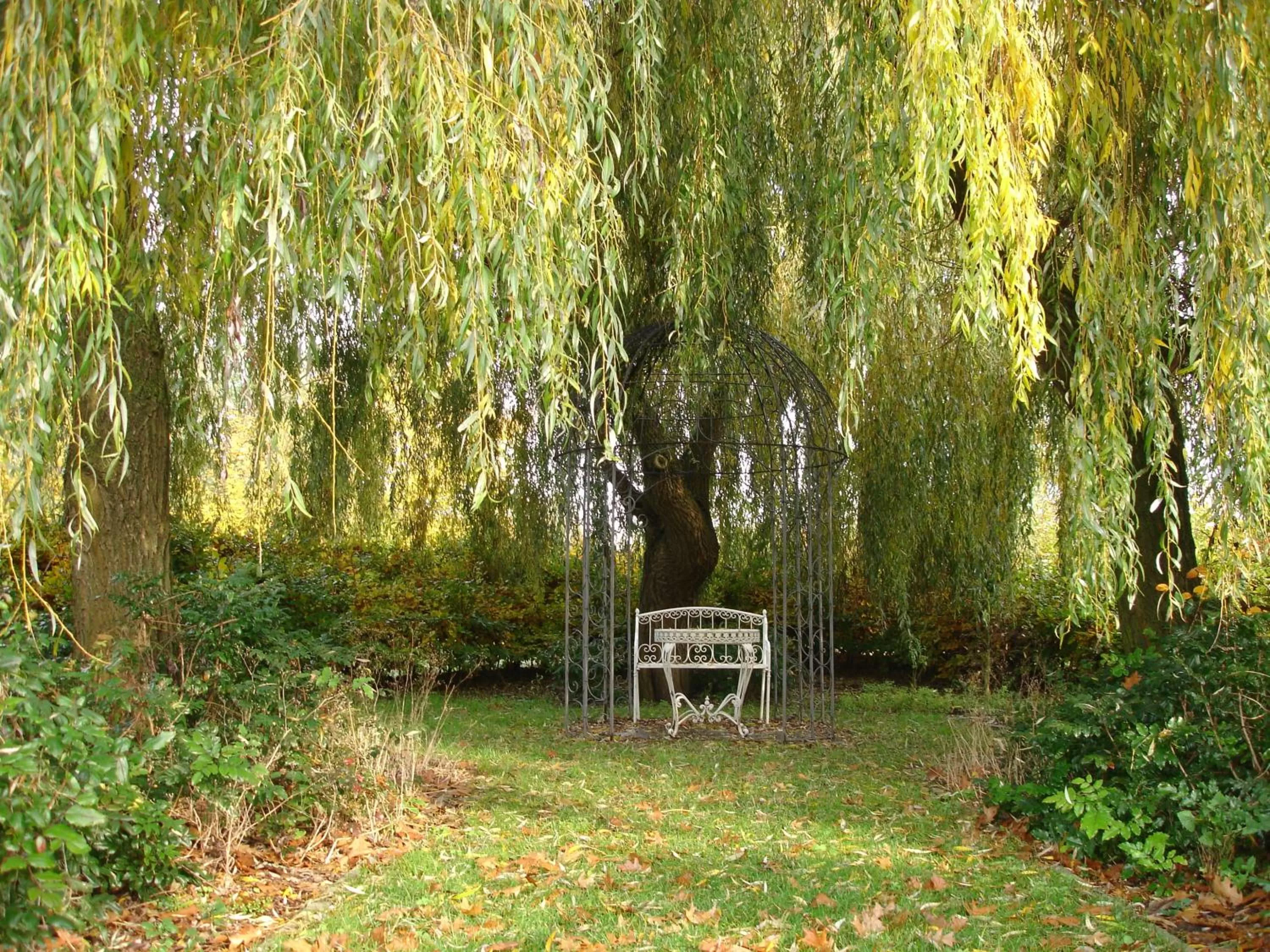 Garden in Biznis Hotel