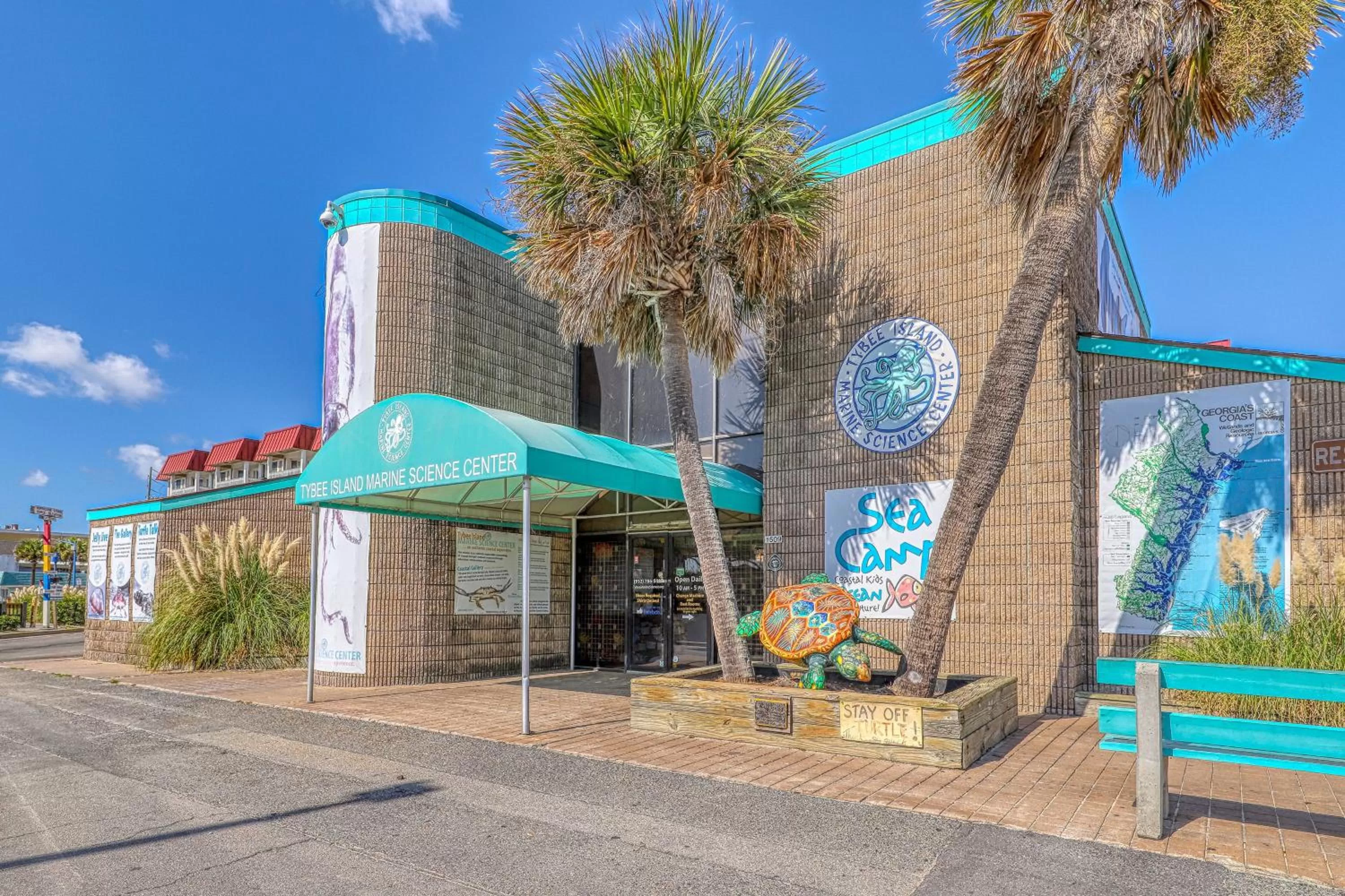 Property Building in Tybee Turtle