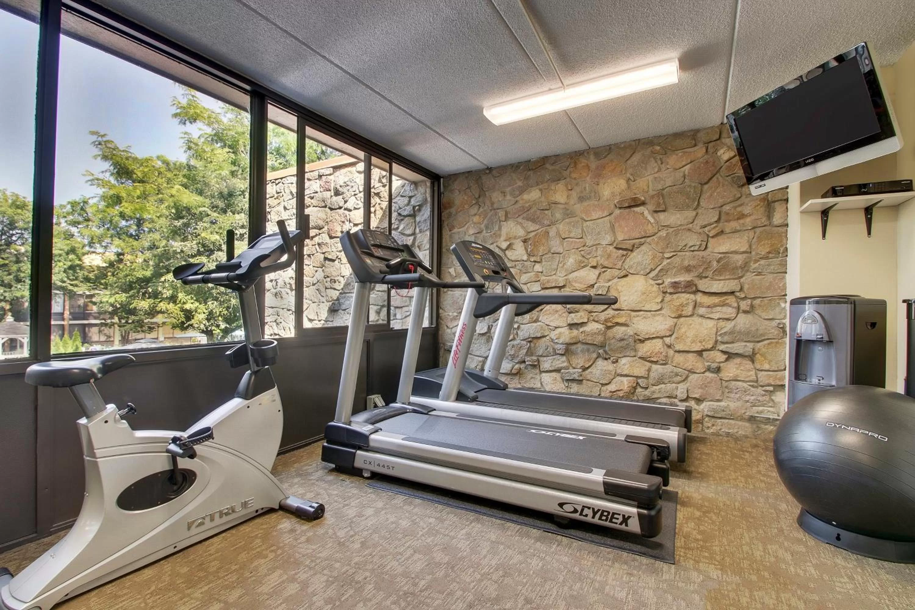 Fitness centre/facilities in Holiday Inn Westbury-Long Island by IHG