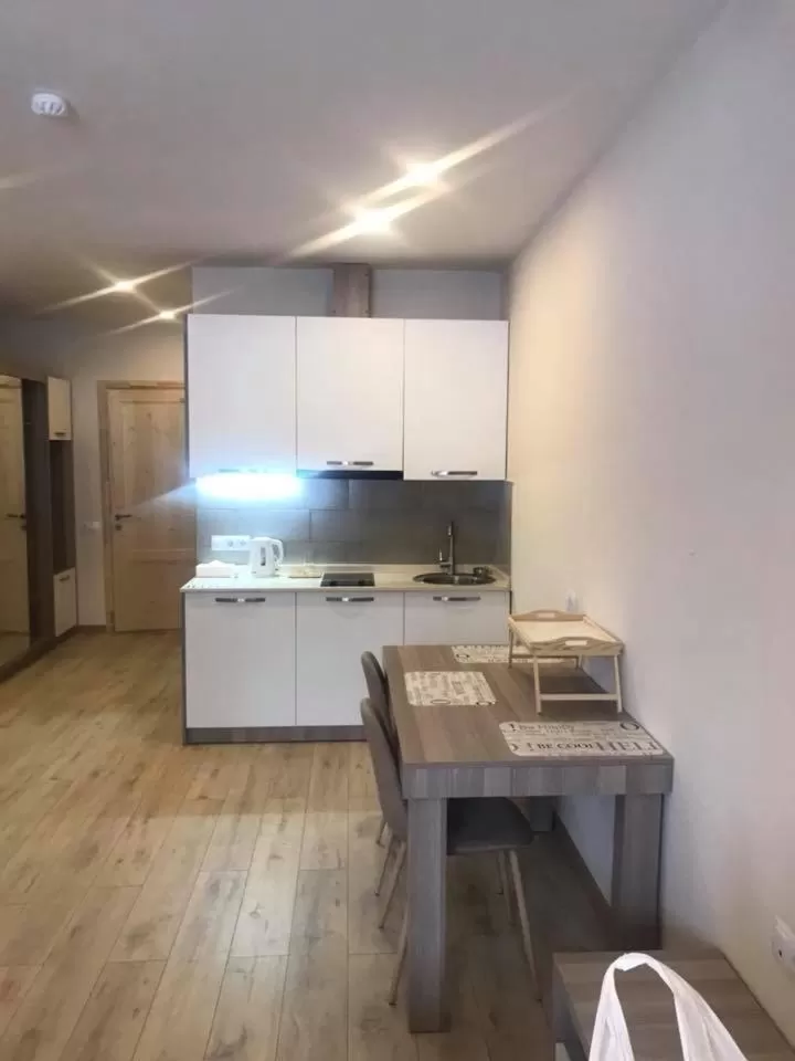 Kitchen/Kitchenette in Bakuriani the Valley 115 - 202