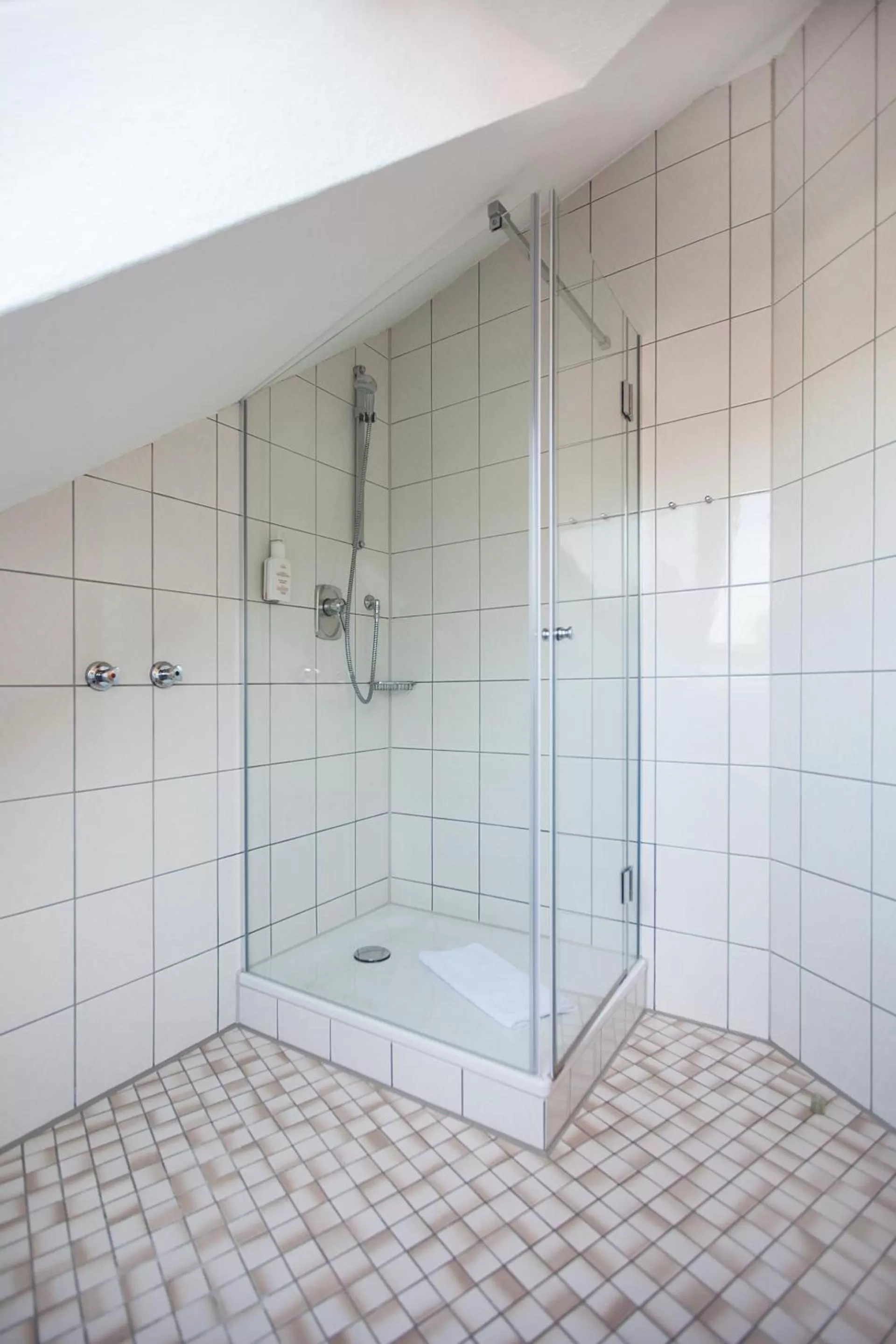 Shower in Hotel Lamm
