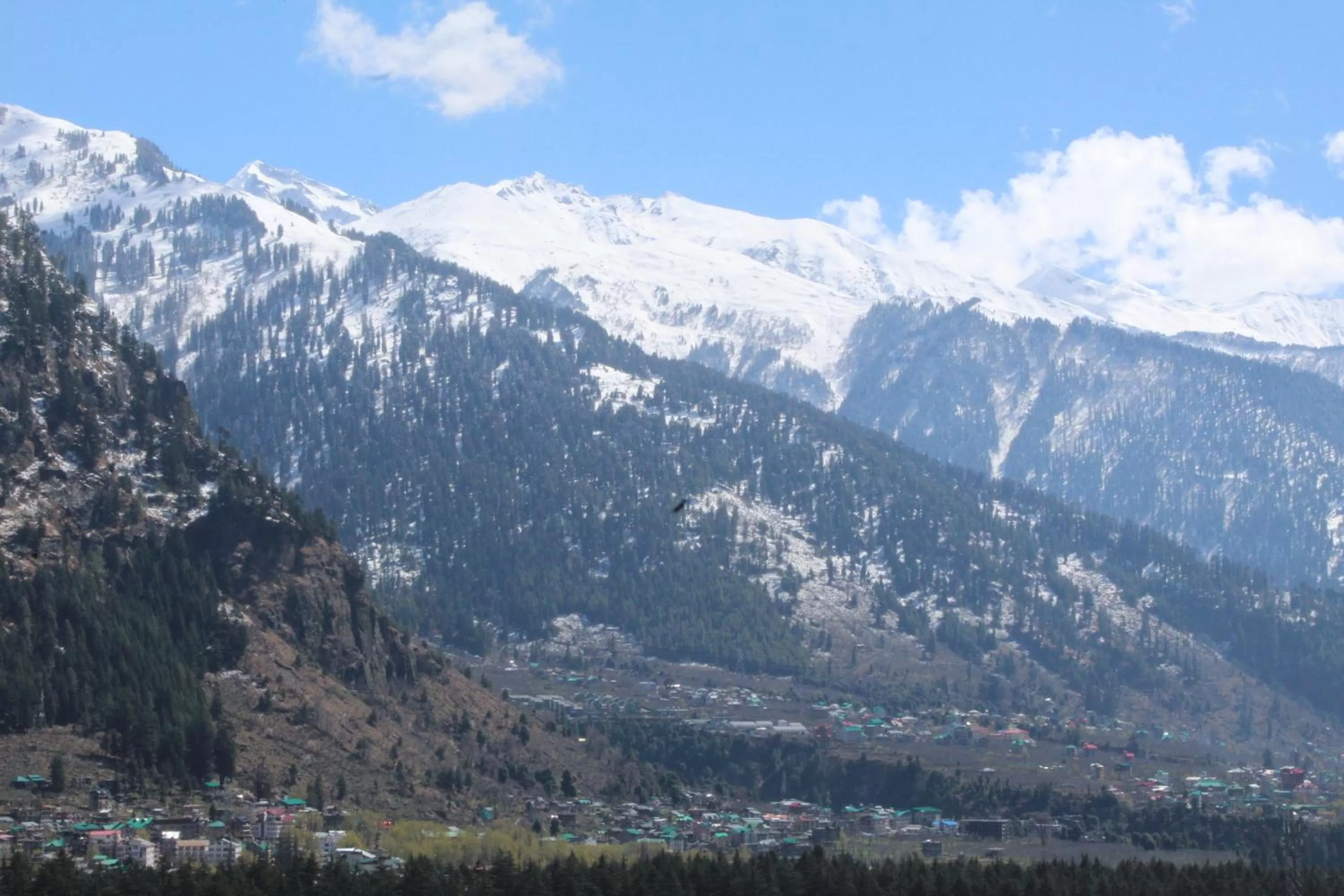Natural landscape in Hotel Broadways Inn