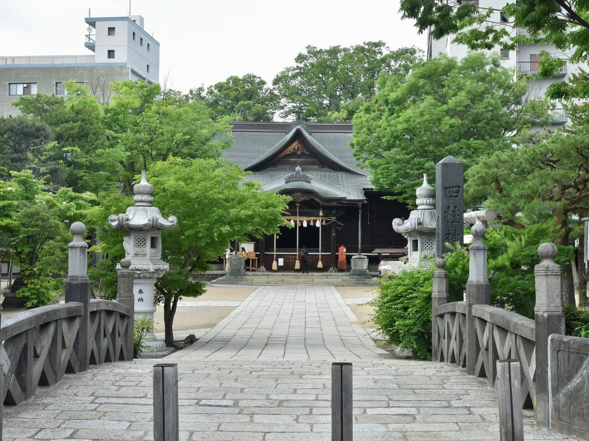 Area and facilities in Hotel Buena Vista