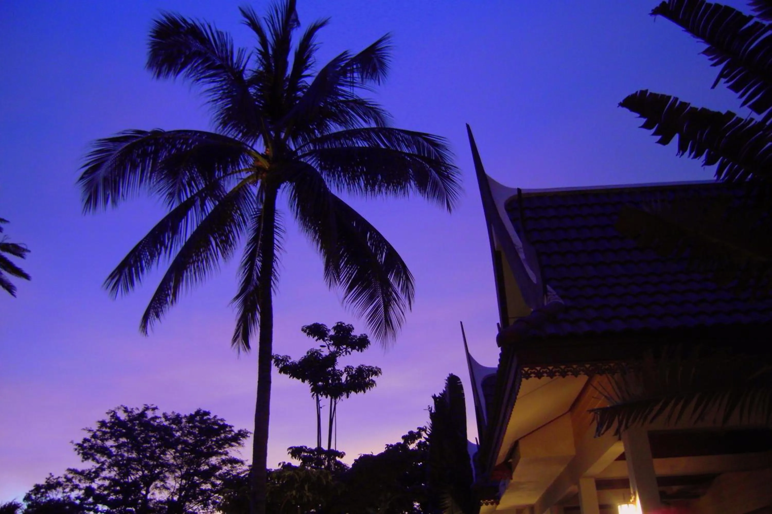 Sunset in Palm Village