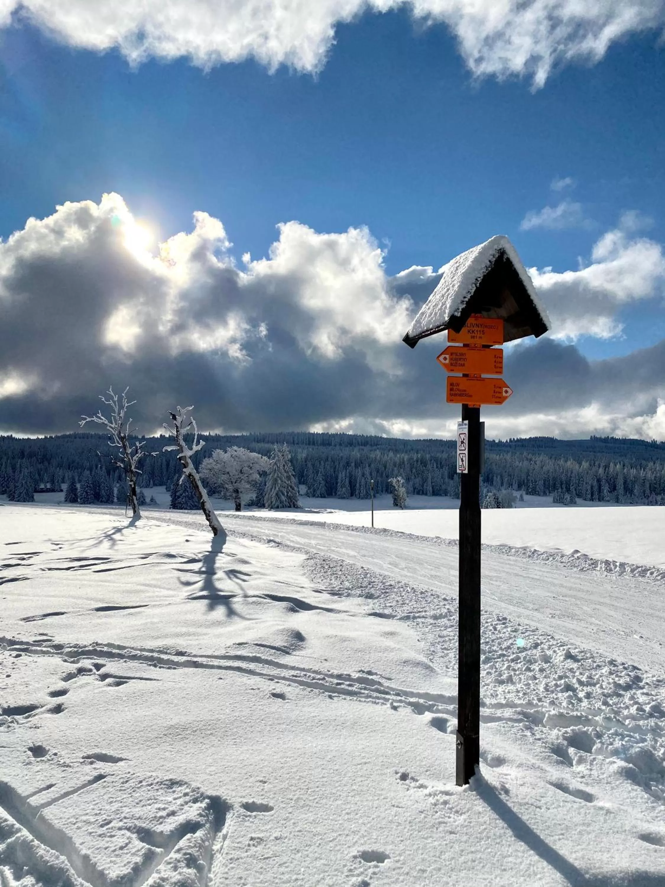Natural landscape in Vila Jáchymov