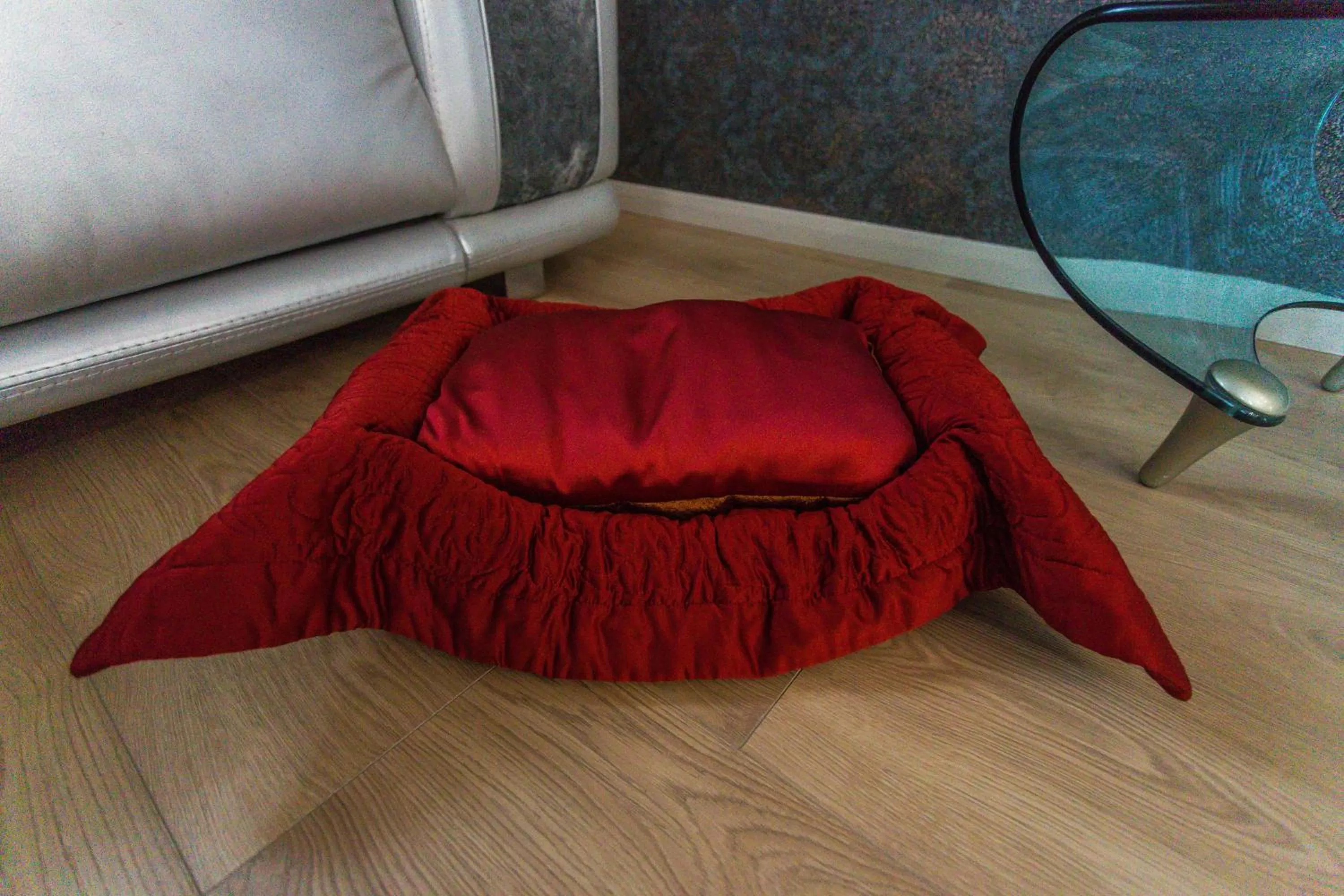 Pets in Hotel "Mandarin Clubhouse"