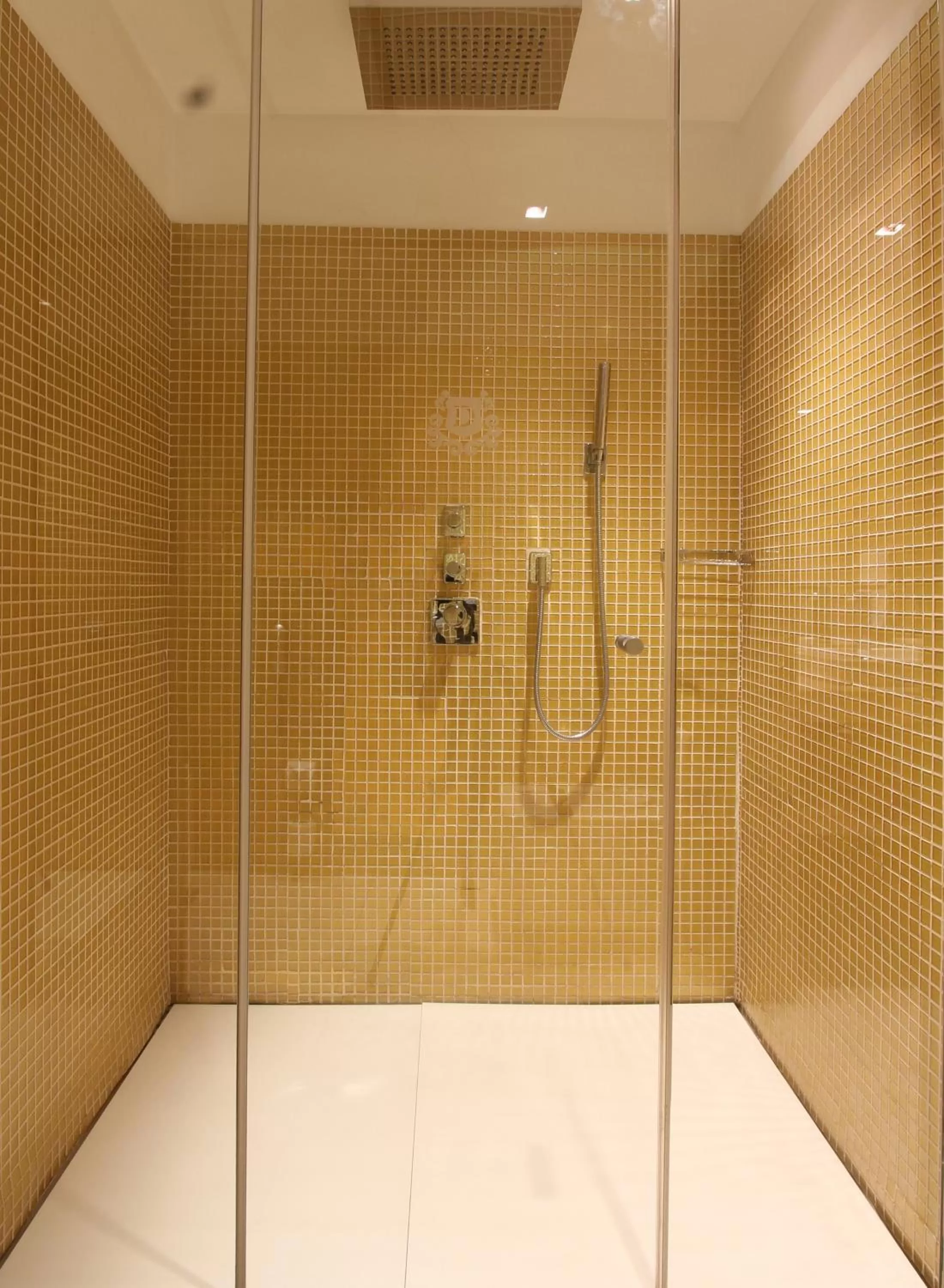 Shower in The Dostyk Hotel
