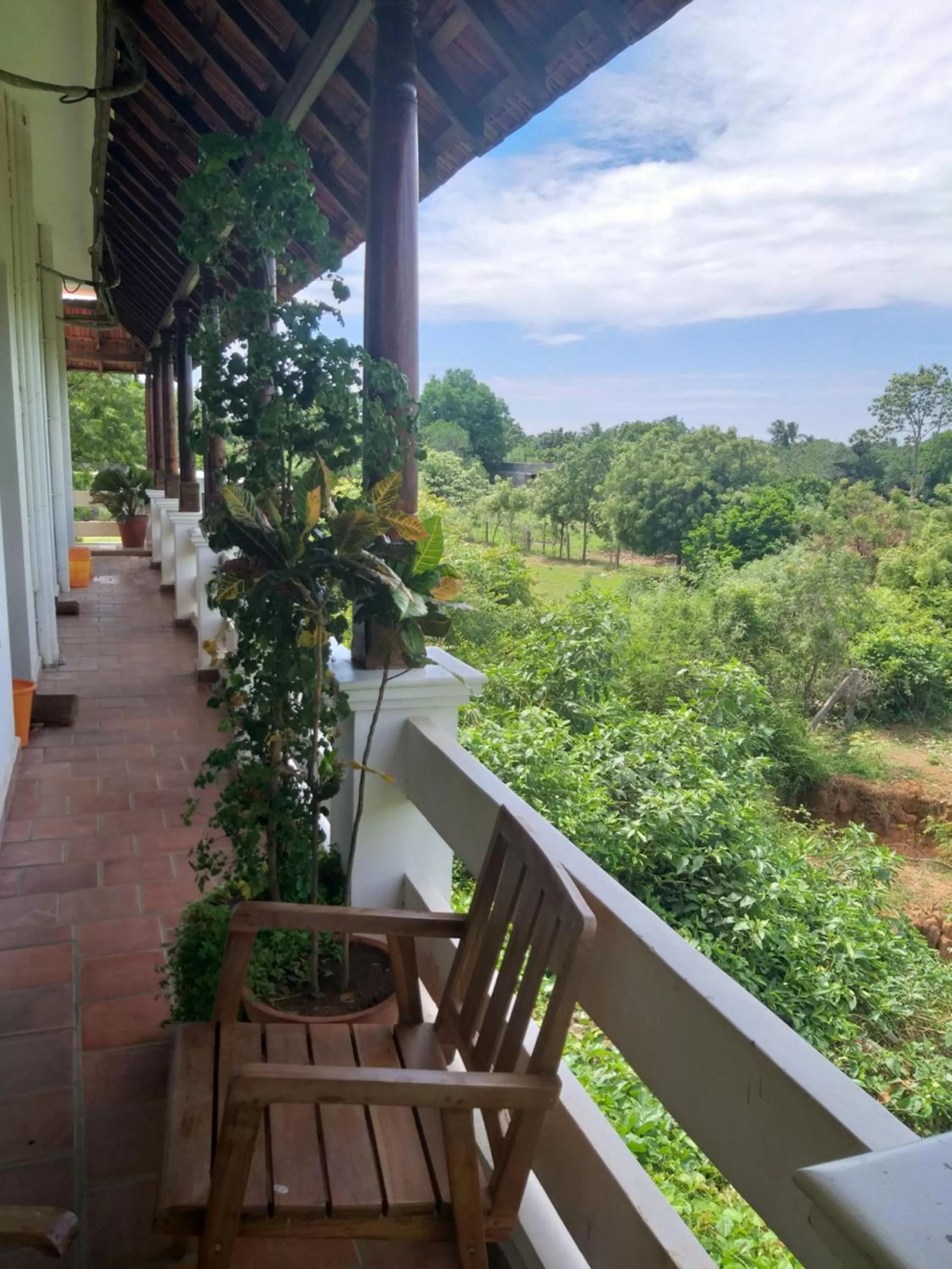 Balcony/Terrace in Green's Guest House