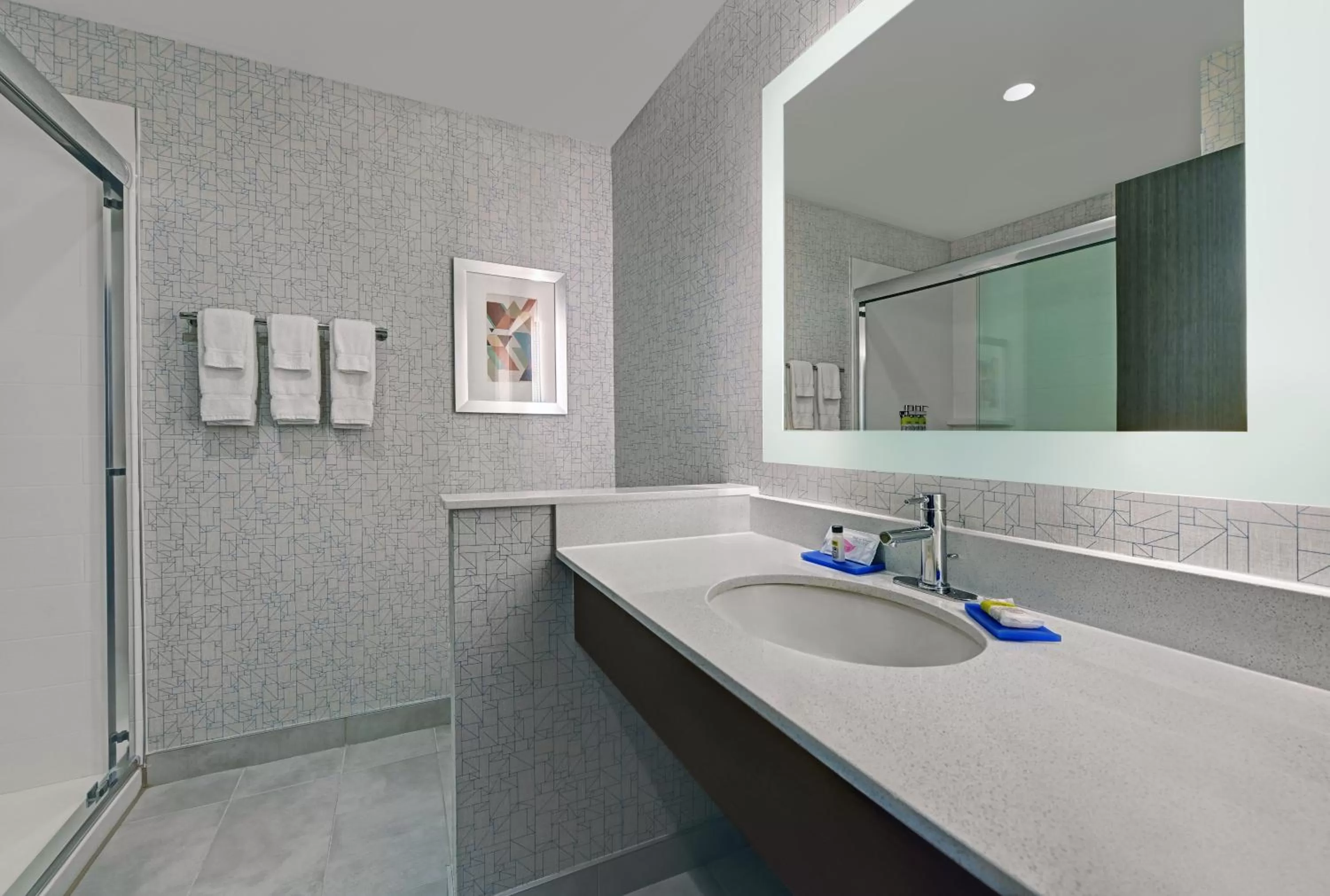 Bathroom in Holiday Inn Express & Suites Memorial – CityCentre by IHG