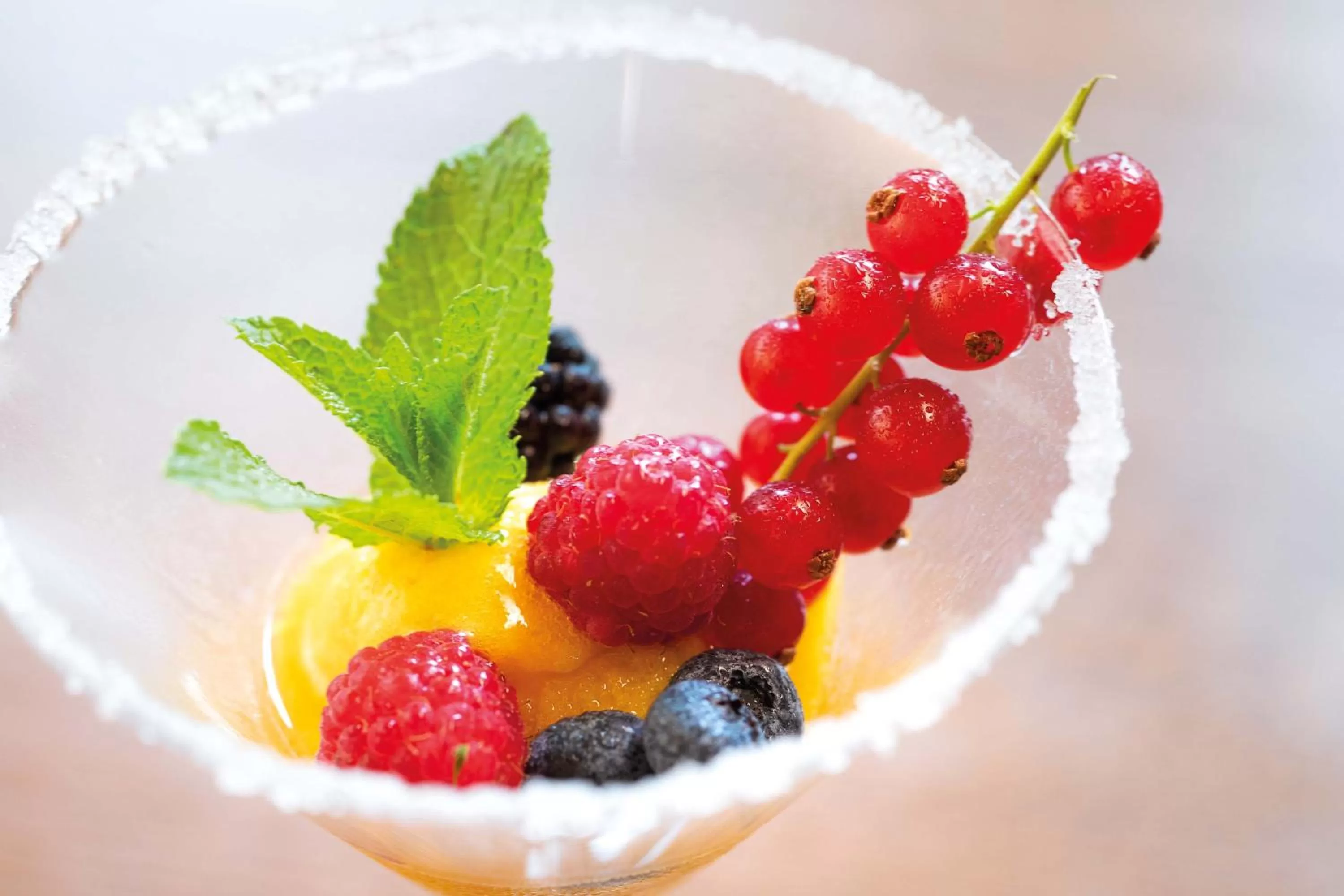 Food and drinks in Hotel Haus Delecke