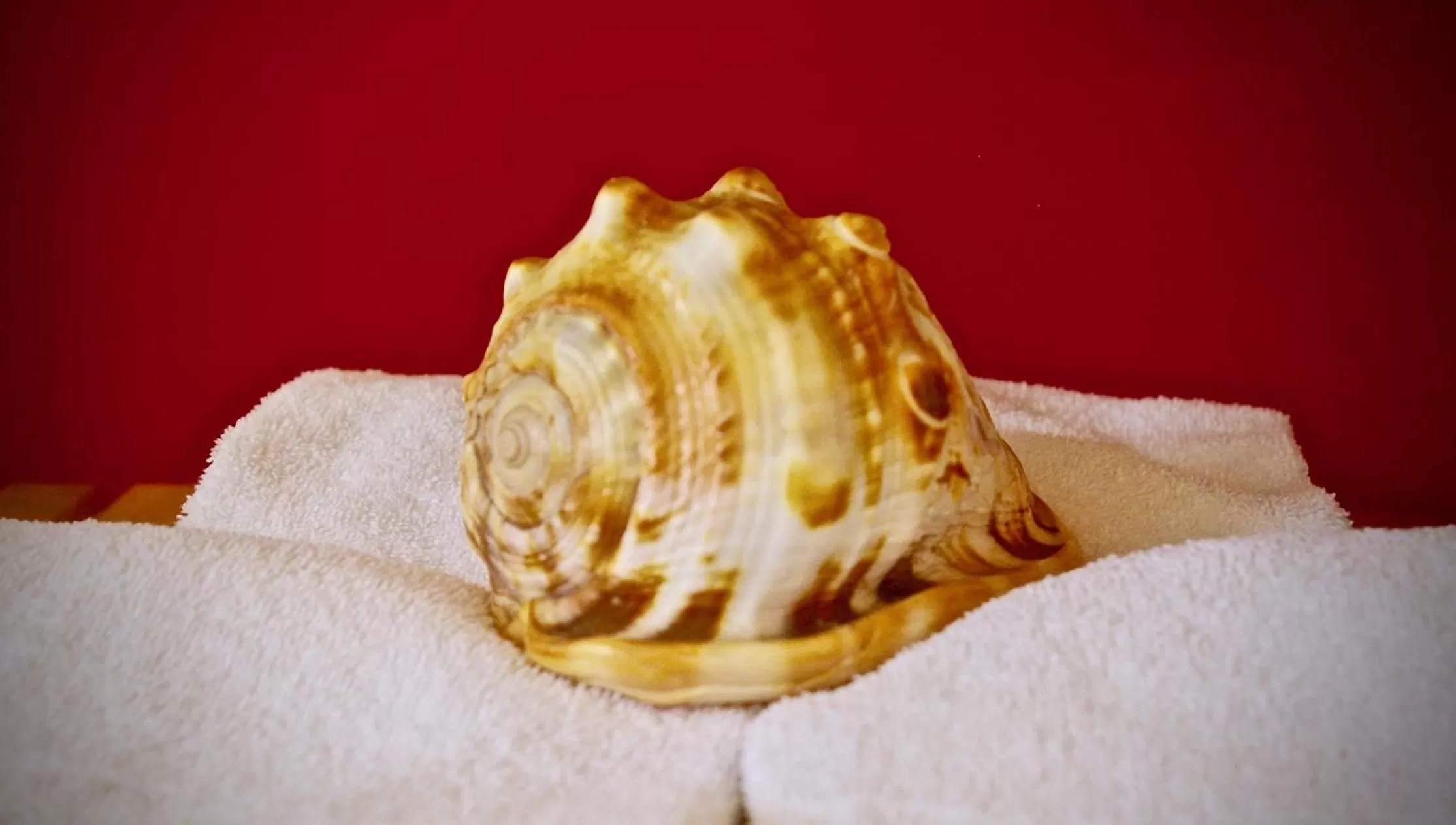 Decorative detail in La Scibina