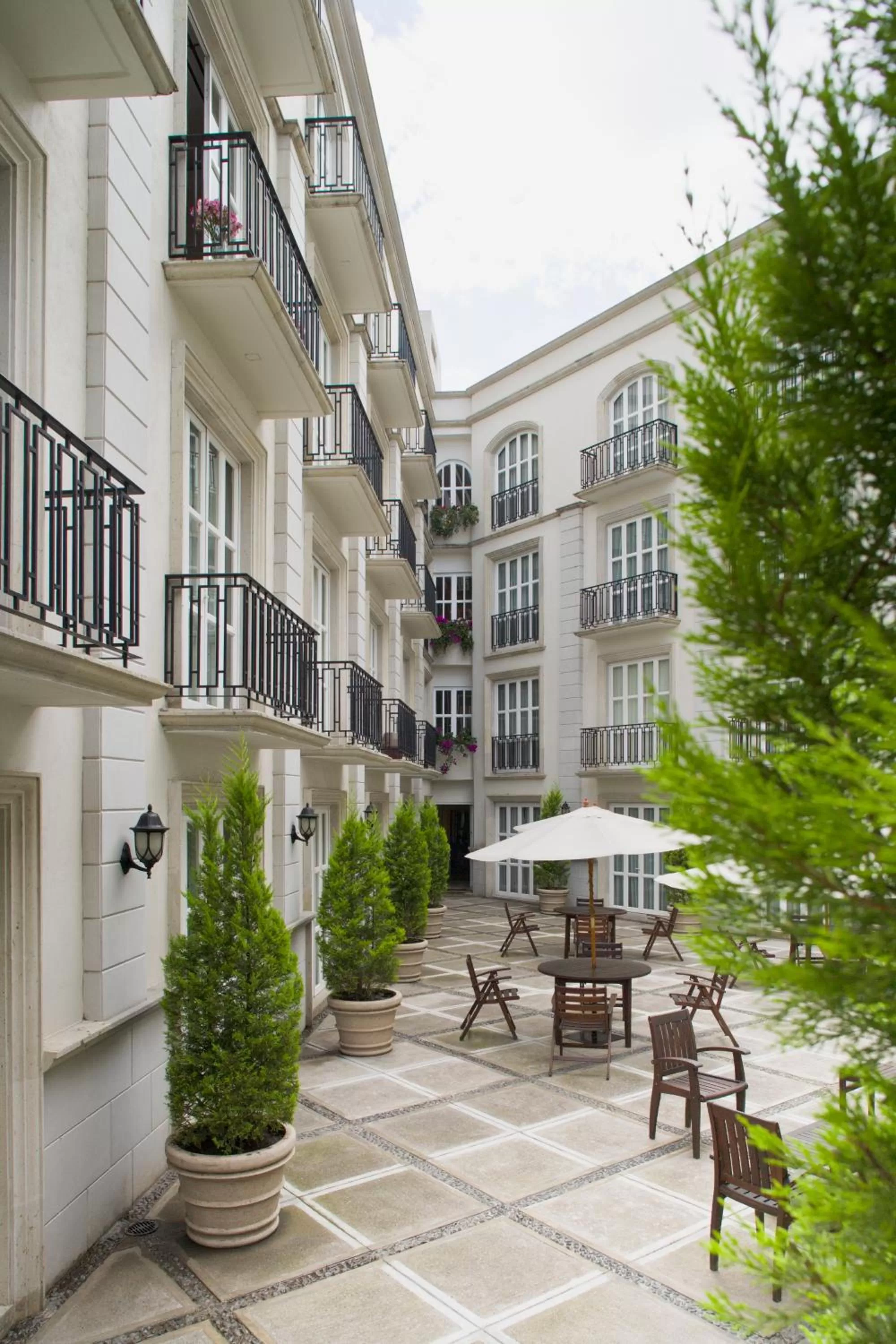 Garden in Grand Polanco Residencial