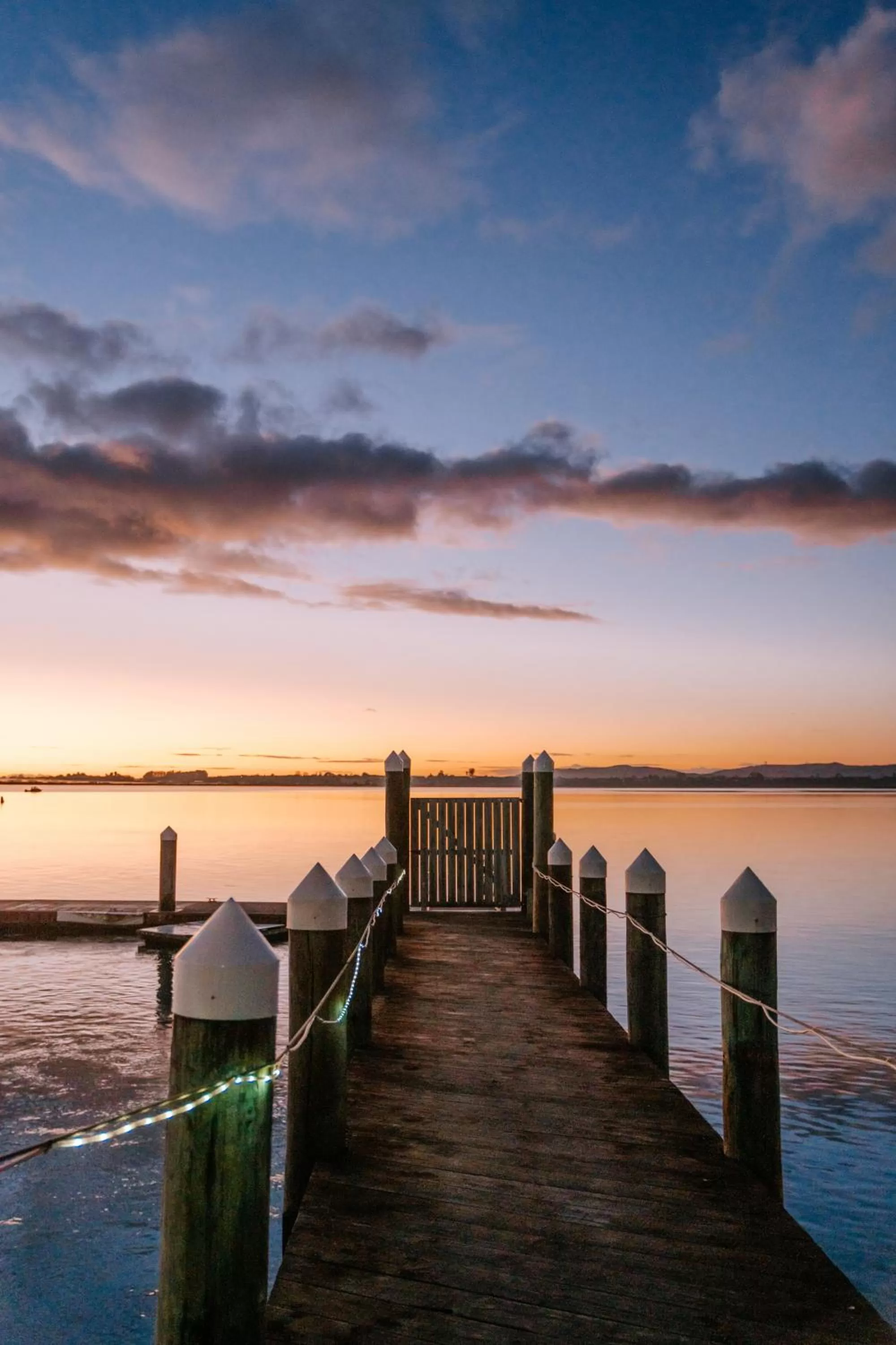 Natural landscape in Trinity Wharf Tauranga