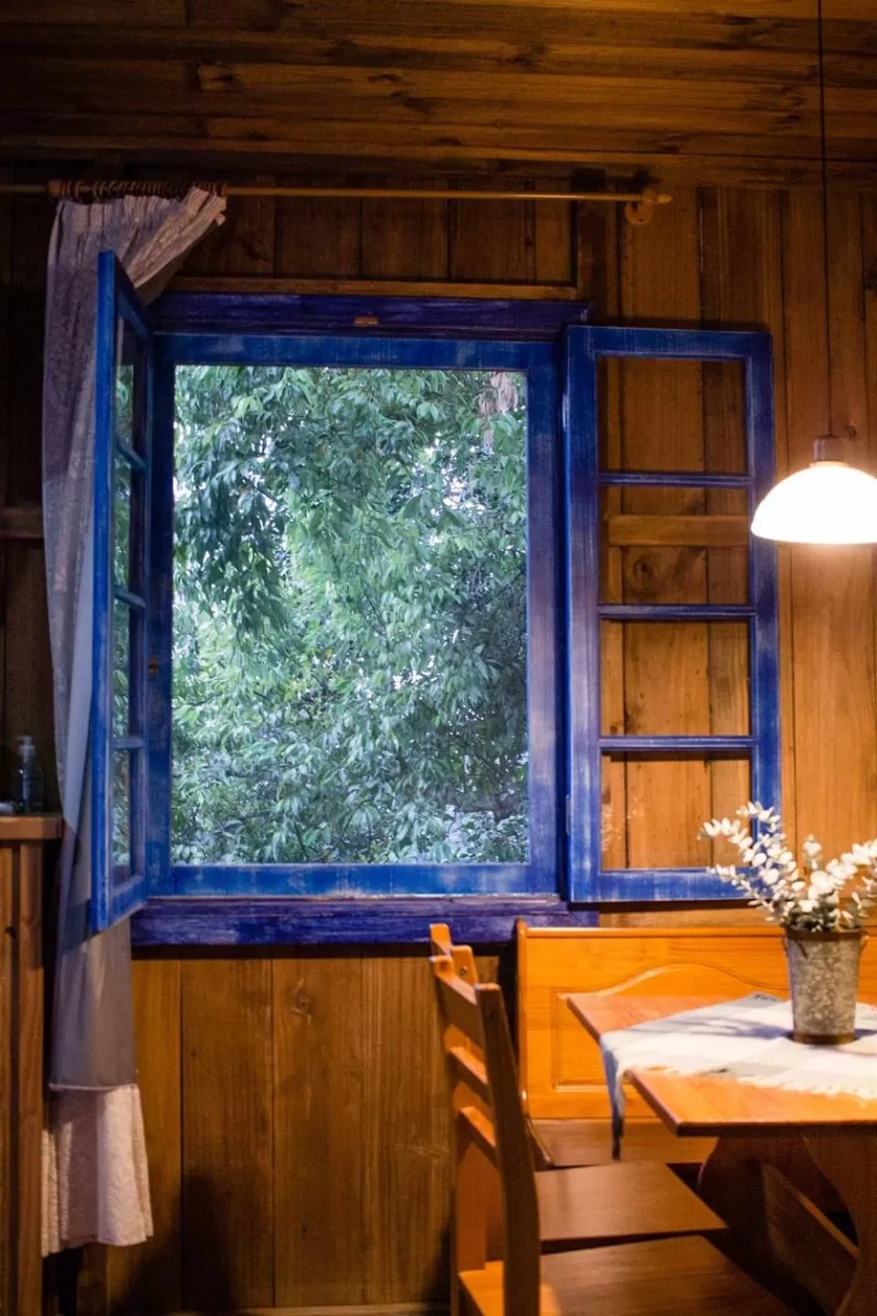 View (from property/room) in Afeto Pousada