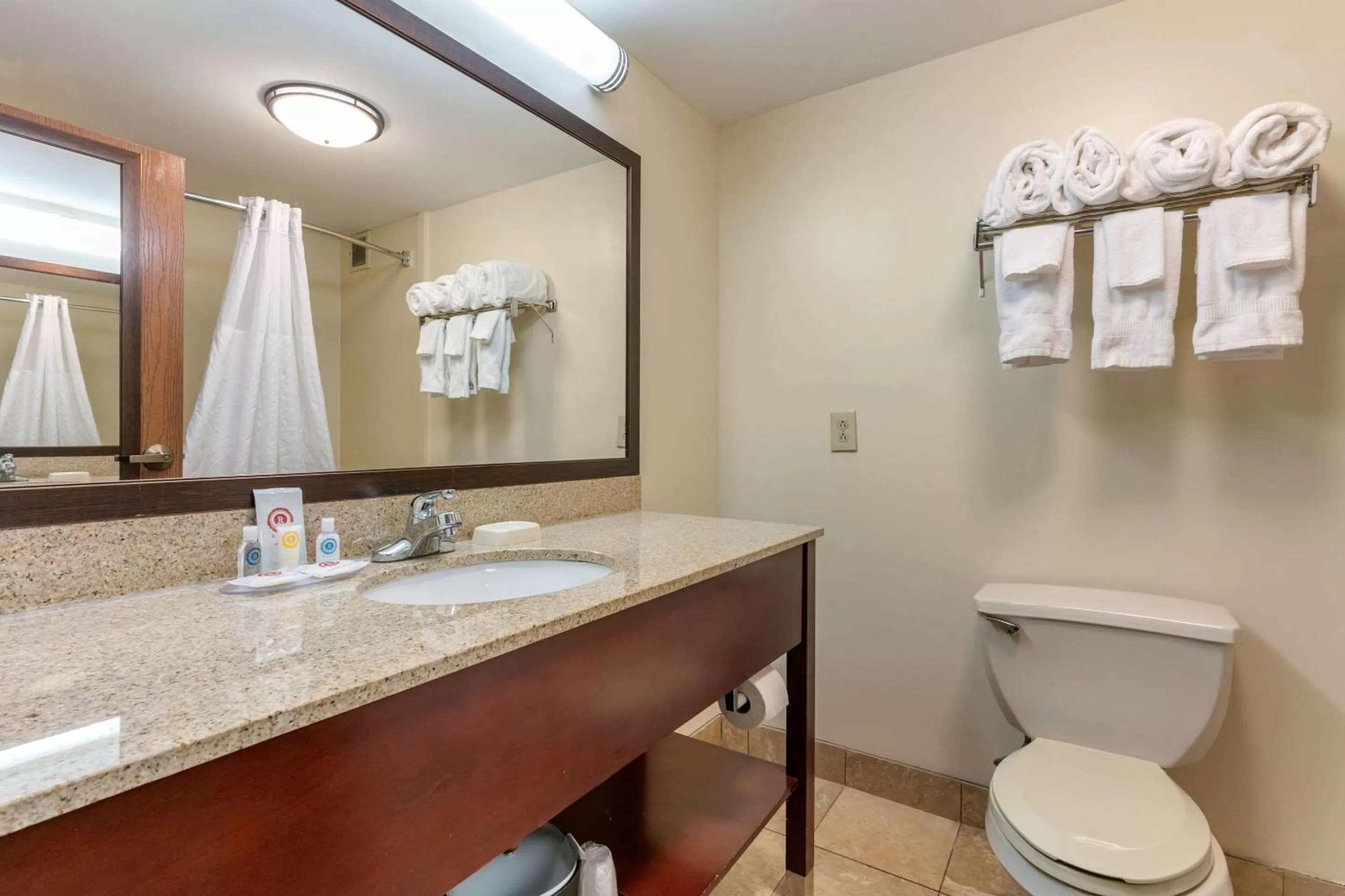 Bathroom in Comfort Inn Chattanooga Downtown Southside