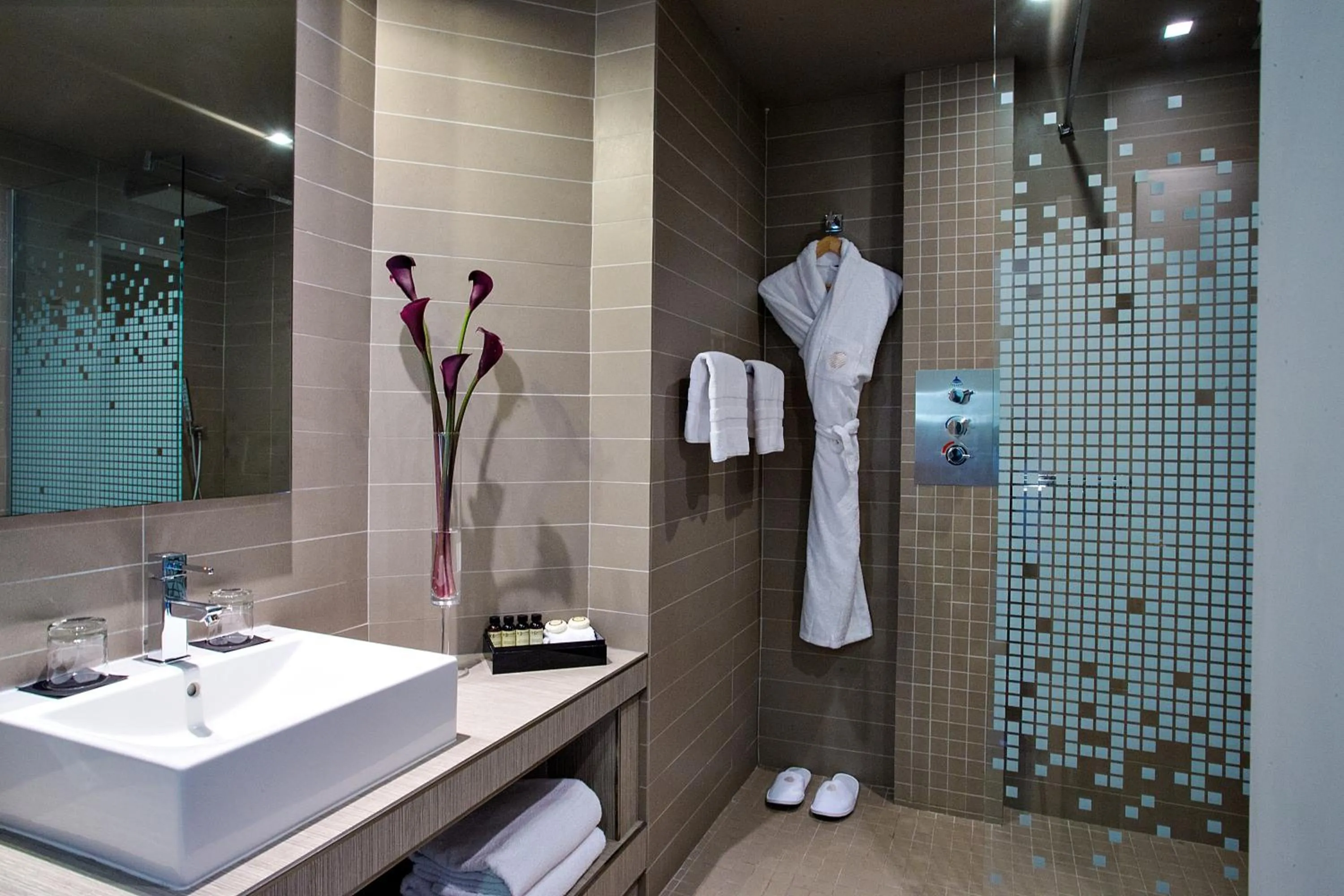 Superior Twin Room in Pullman Toulouse Centre Ramblas