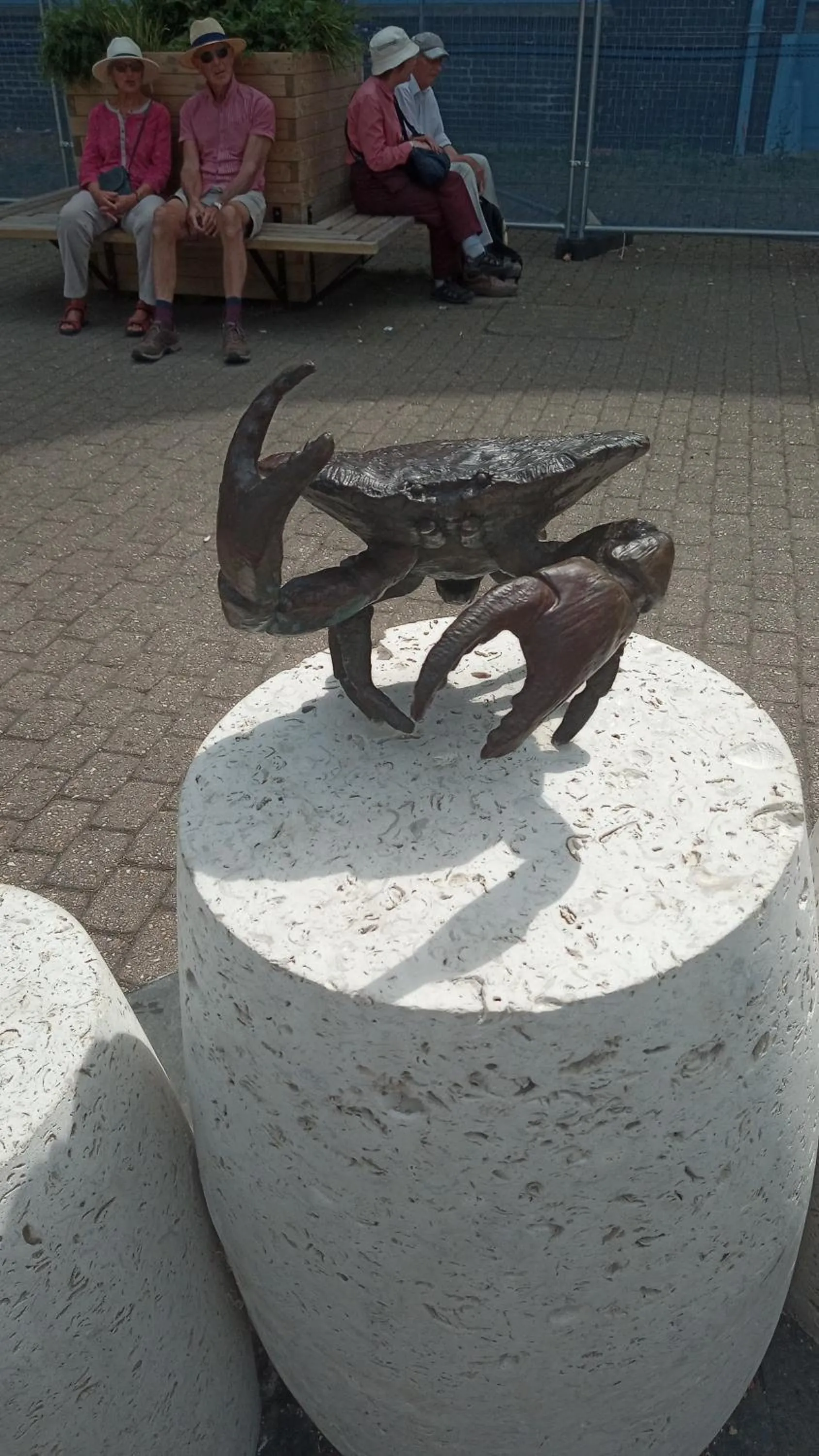 Animals in The Wilton Weymouth