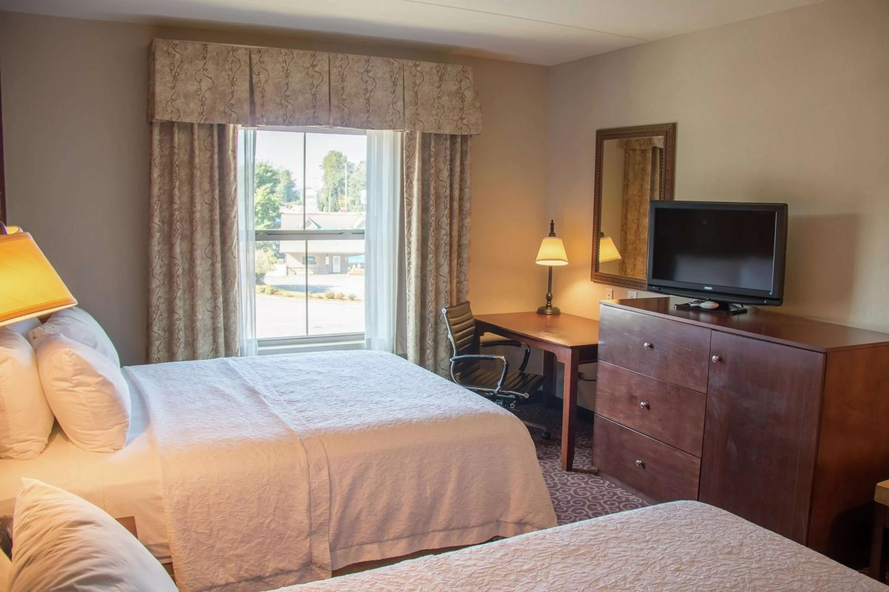Bedroom, Bed in Hampton Inn Murphy