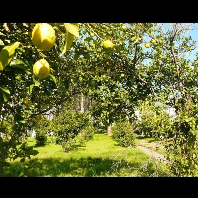 B&B Casa Maria Vittoria