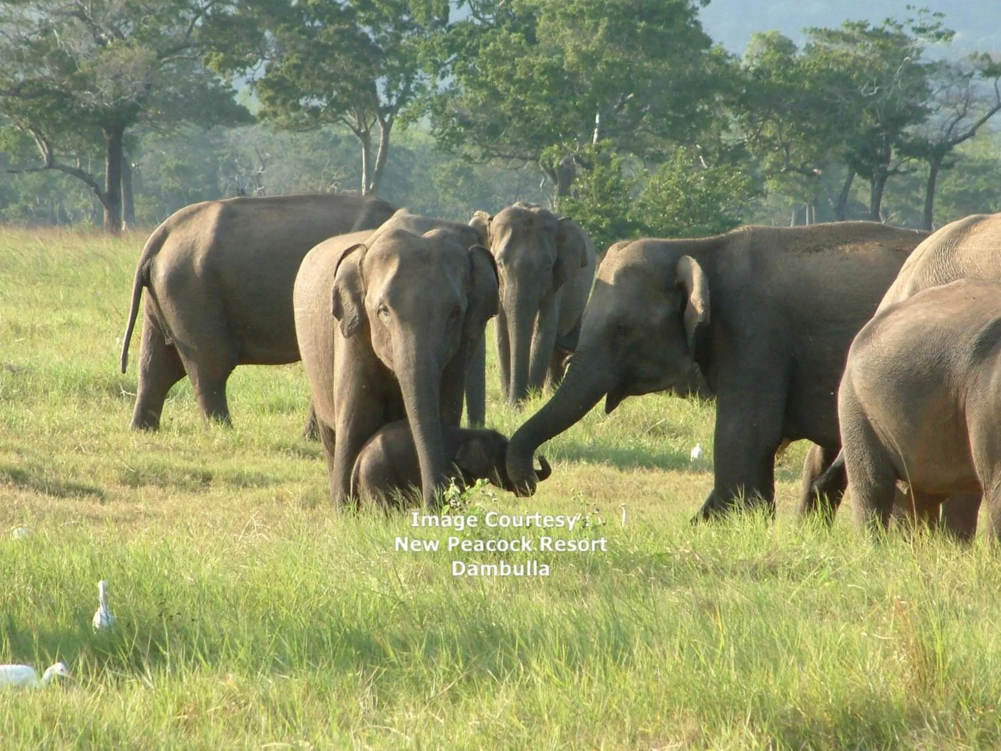 Off site in New Peacock Resort