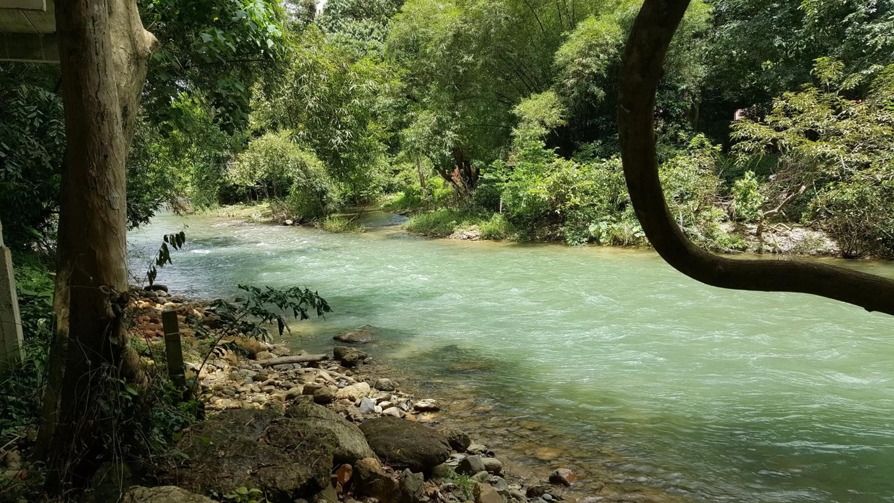 Nearby landmark in Khao Sok Jungle Huts Resort