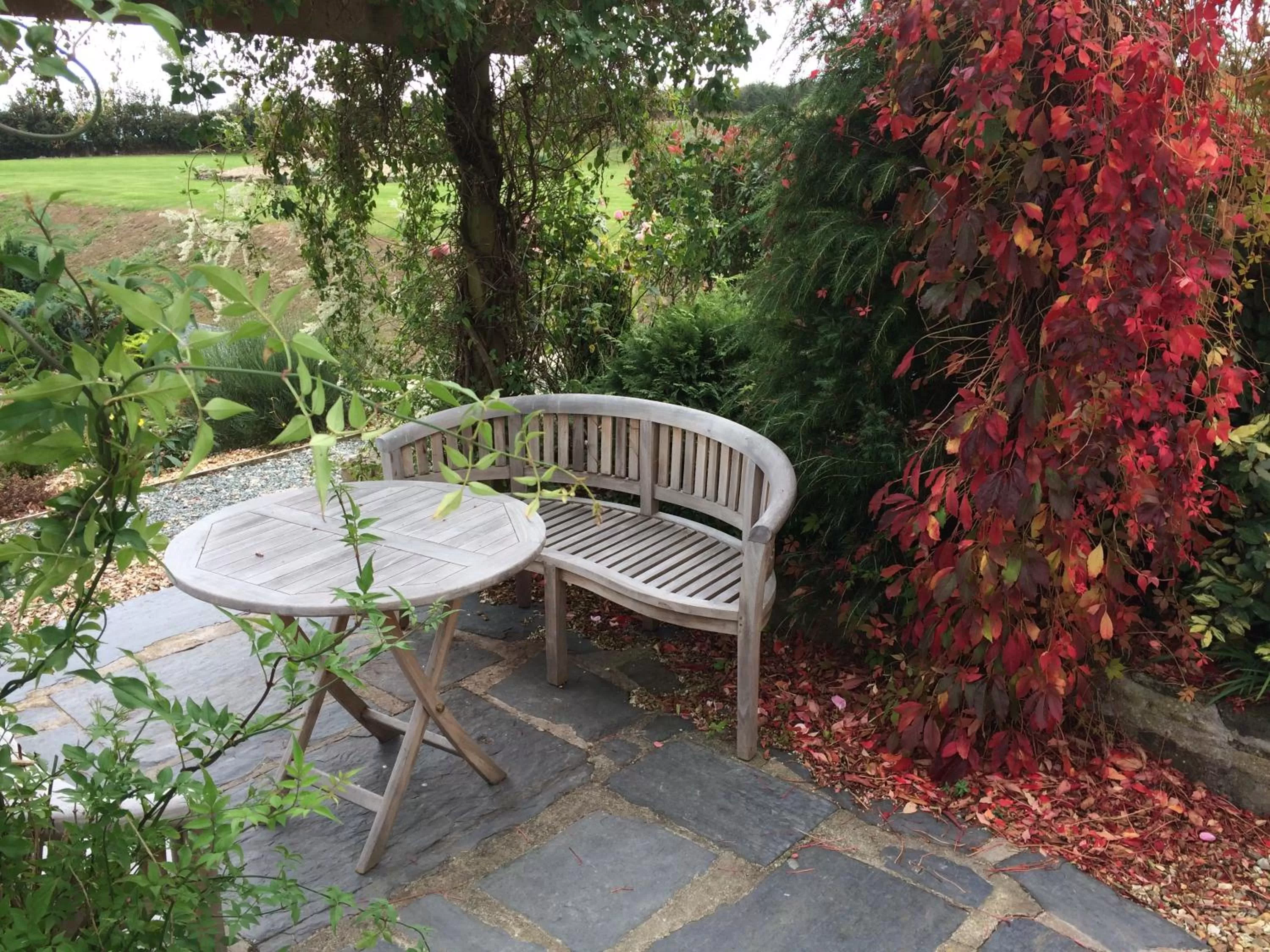 Garden in Beggars Reach Hotel