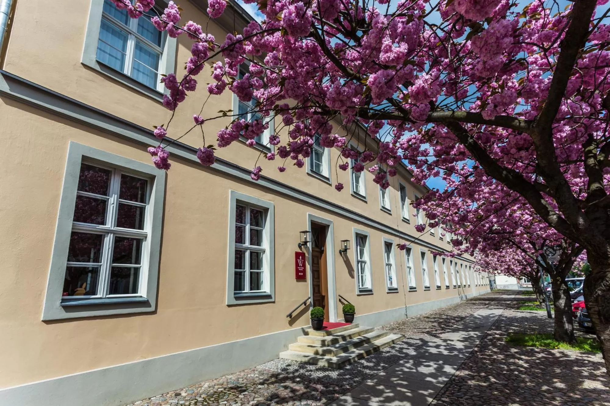 Quiet street view in Hotel am Großen Waisenhaus