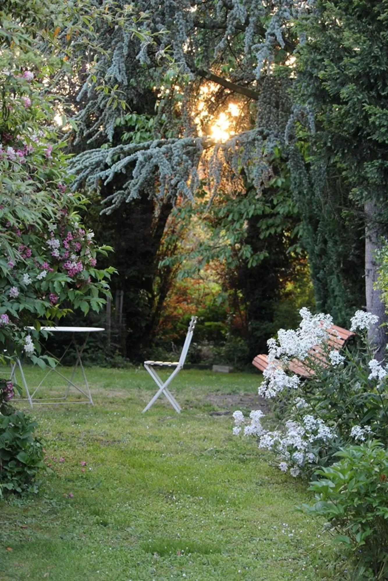 Garden in W'allons nous dormir