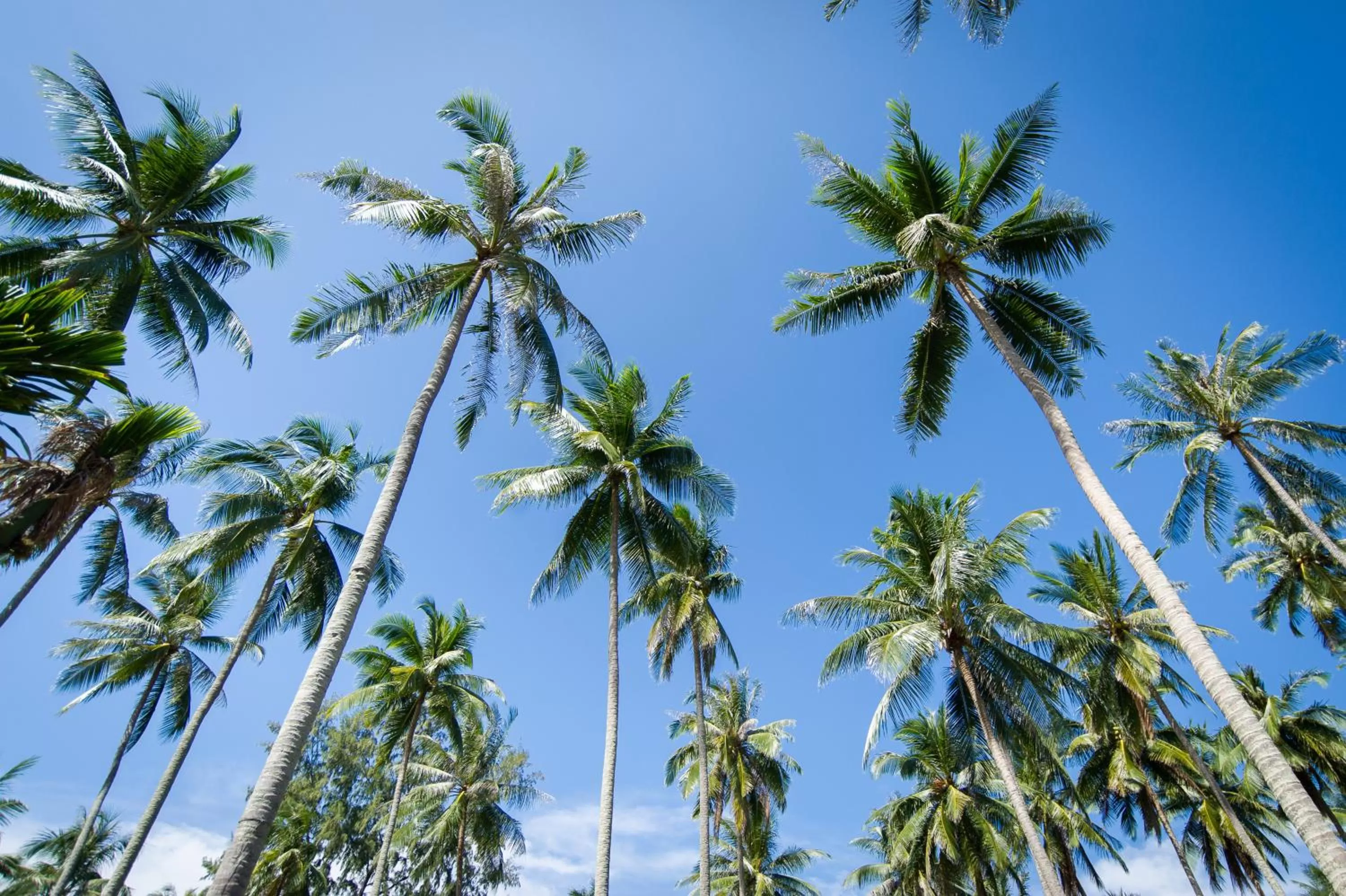 Area and facilities in Medee Resort