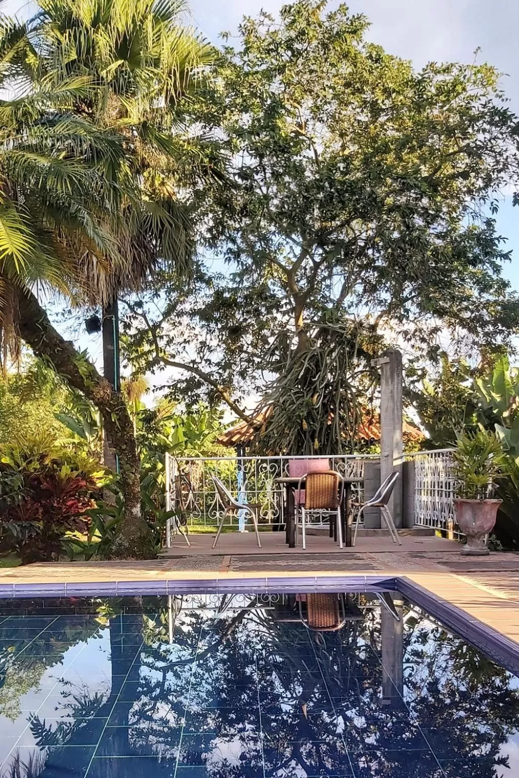 Pool view in Balsora Hotel Boutique