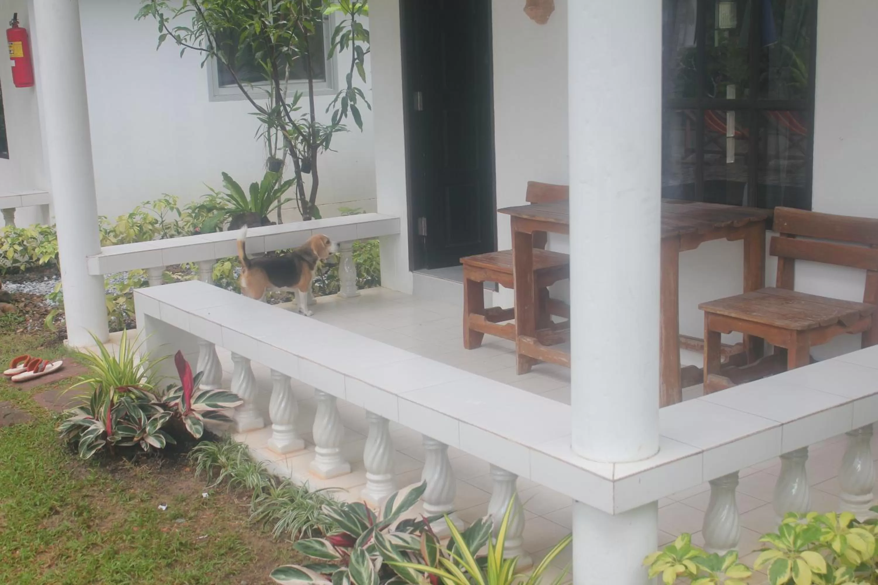 Privacy Resort - Koh Chang