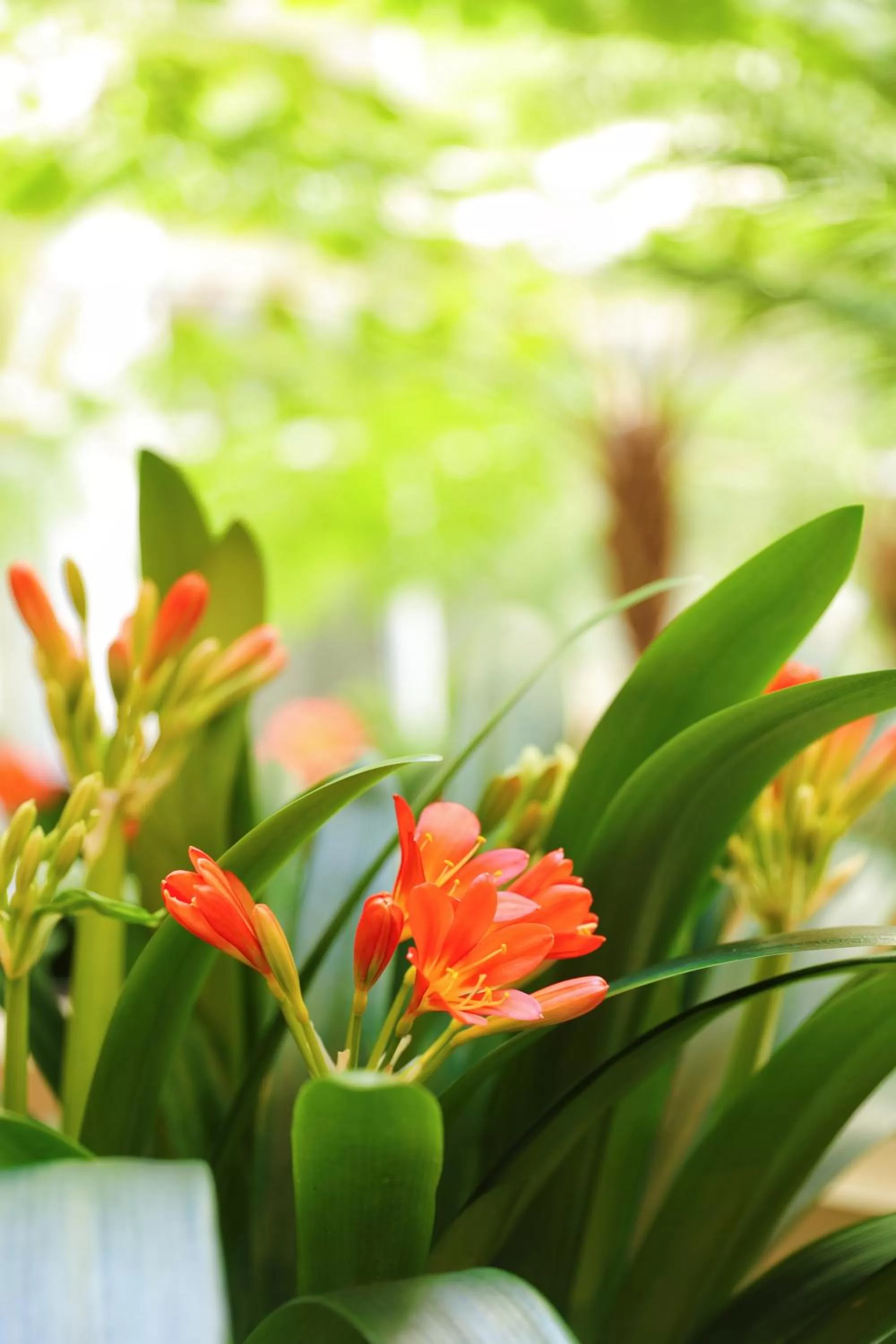 Bunbury Hotel Koombana Bay