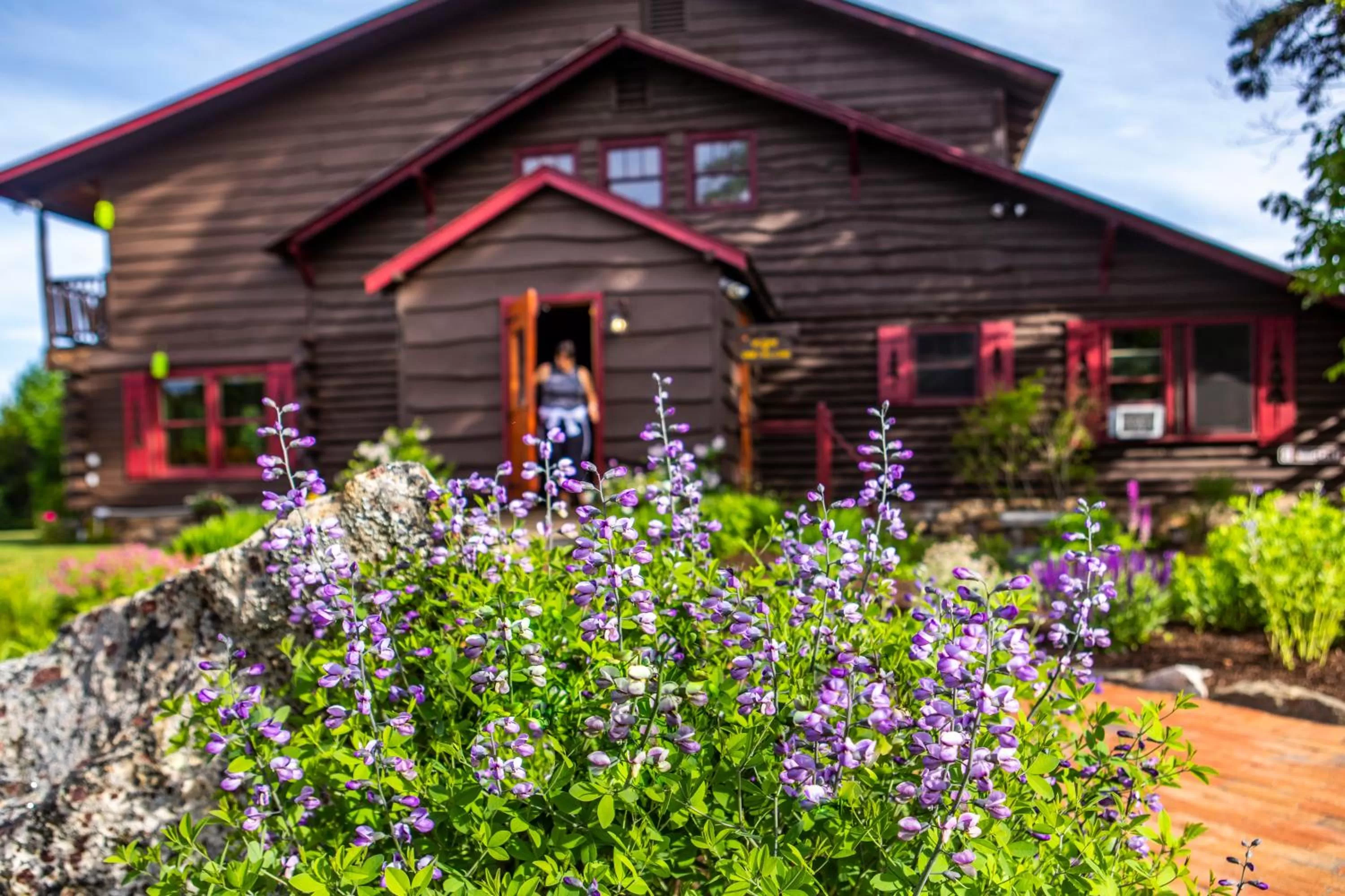 Property building in Garnet Hill Lodge