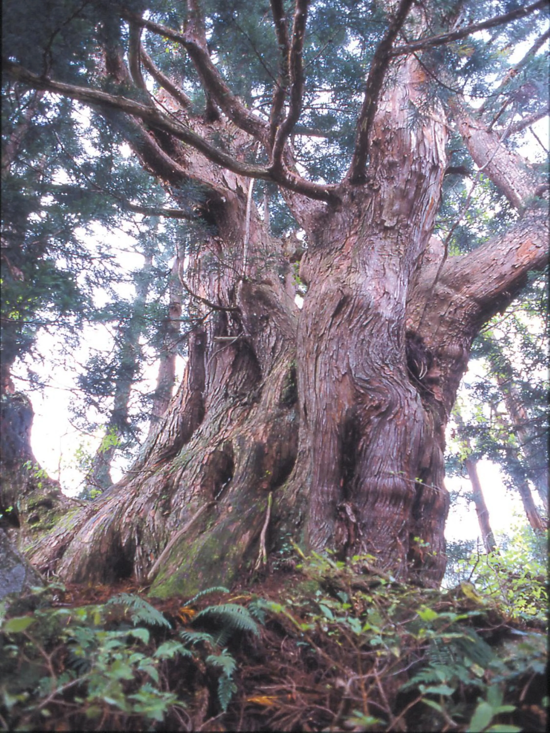 APA Hotel Uozu Ekimae