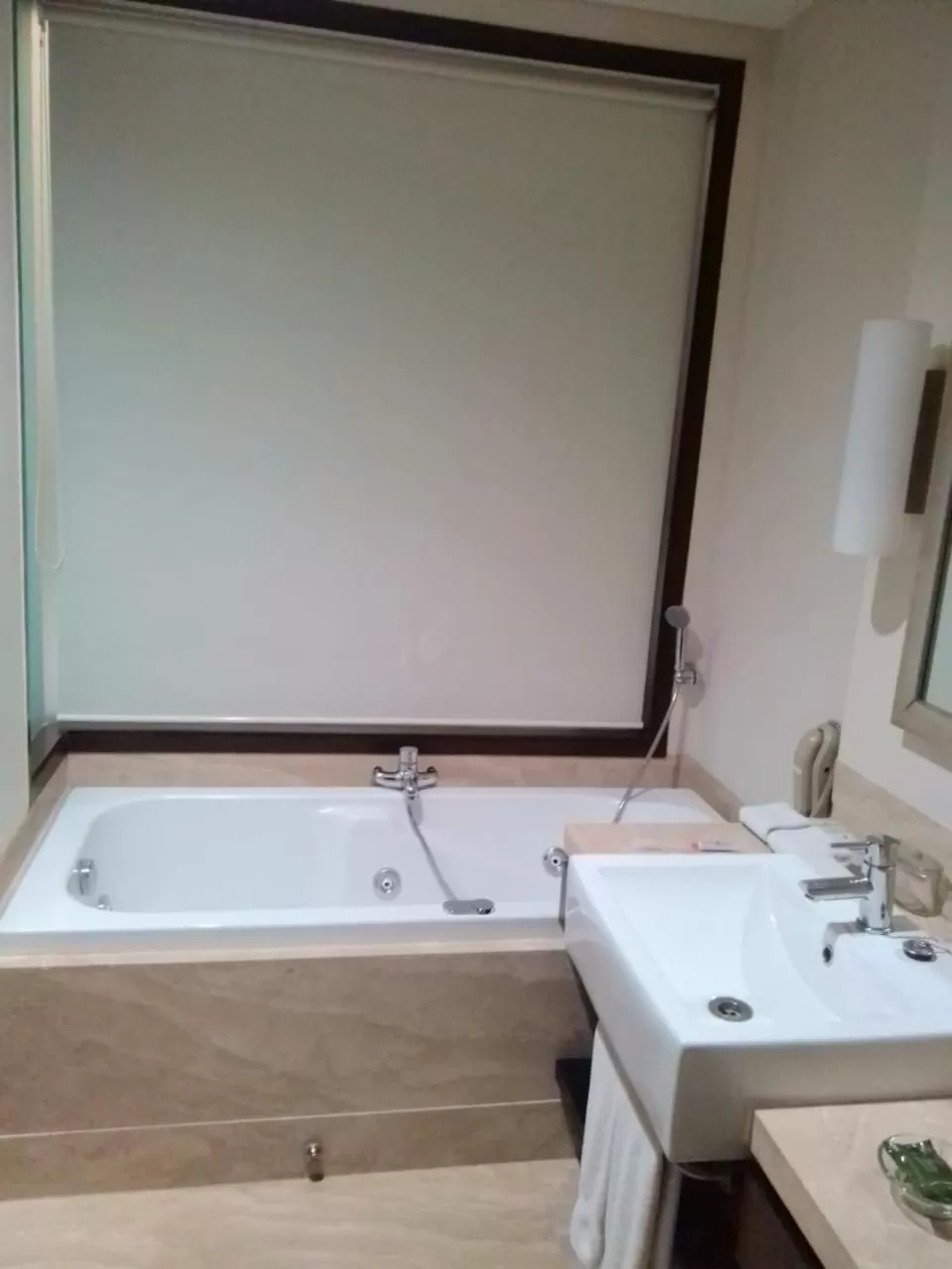 Toilet in Radisson Noida