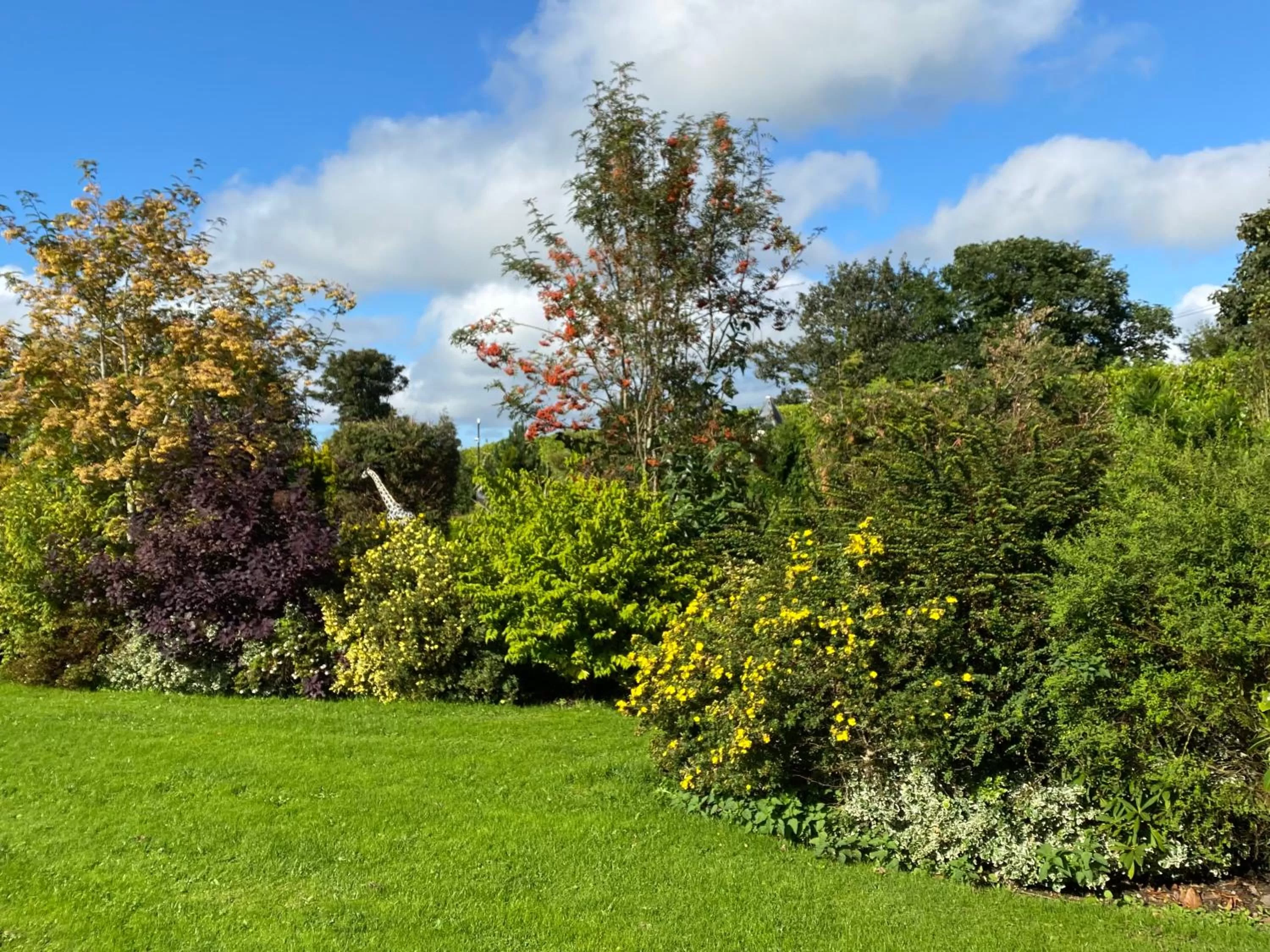 Garden in The Hilltop Haven