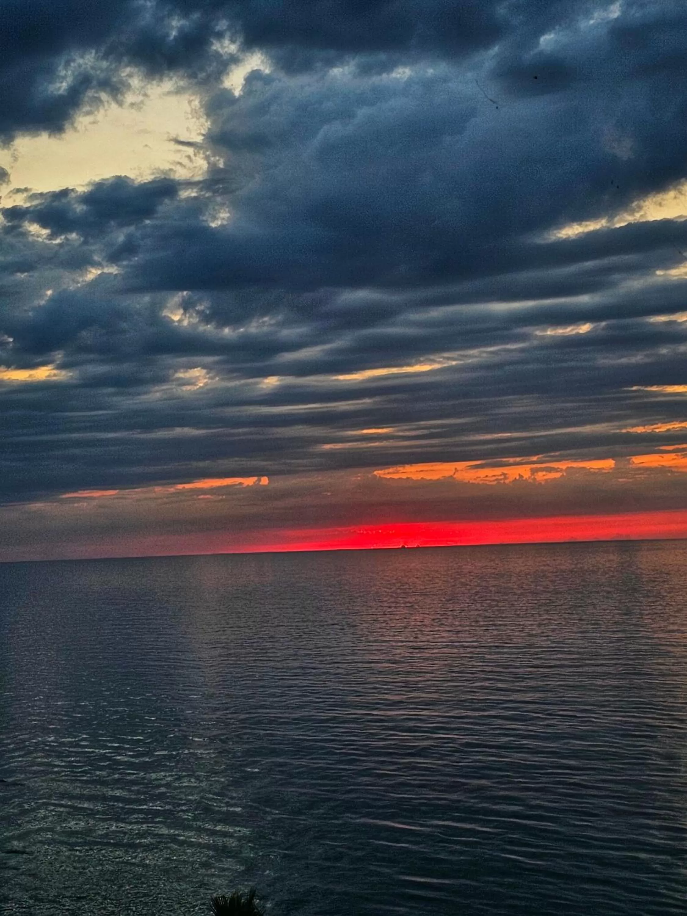 View (from property/room) in Batumi Palm Hotel
