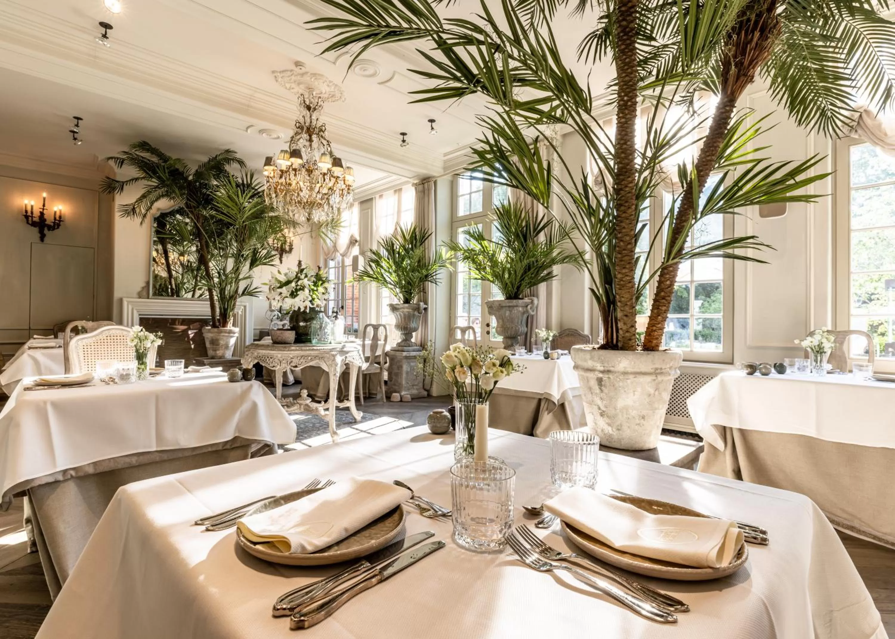 Restaurant/places to eat in The Notary