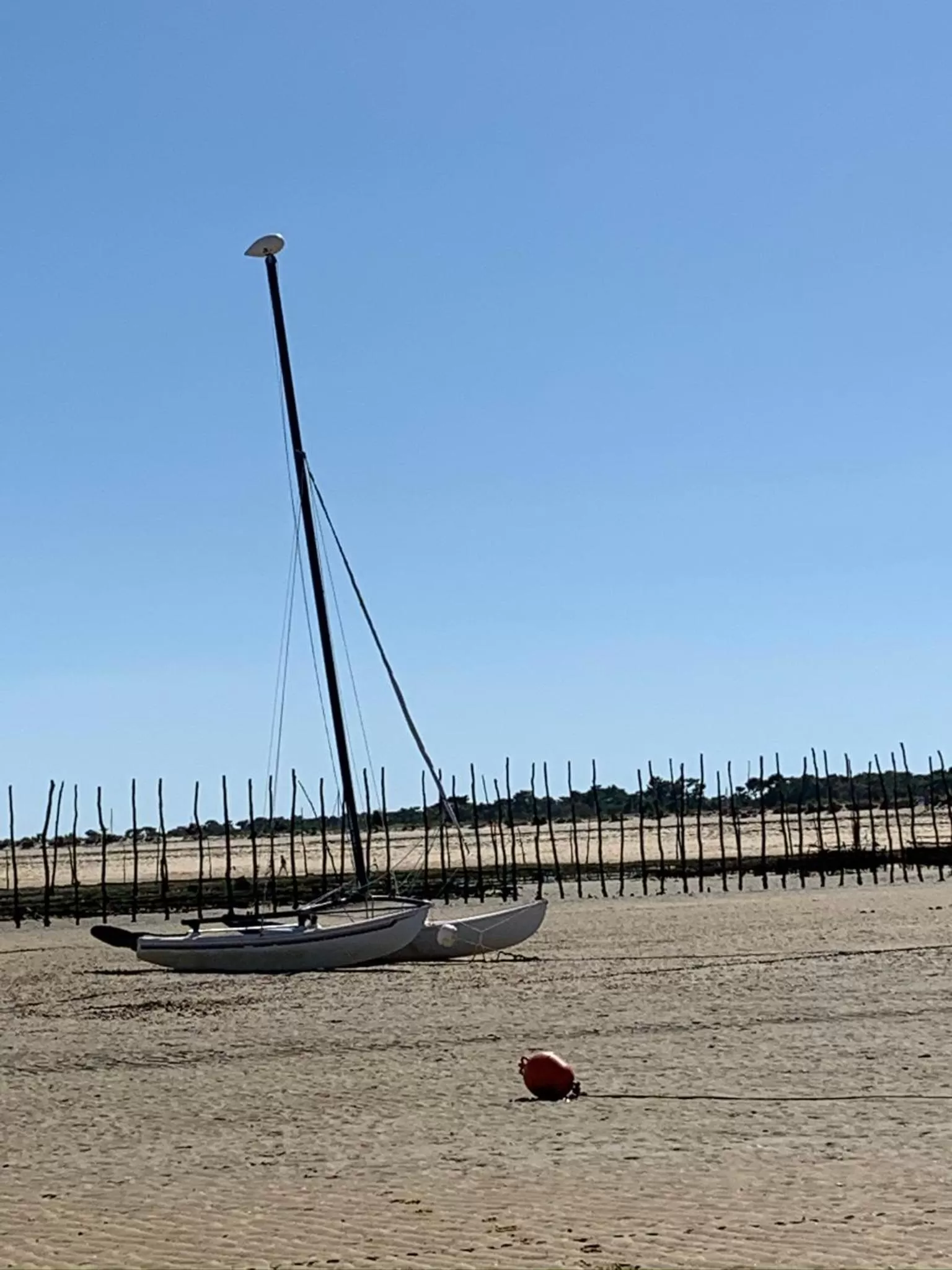 Property building, Beach in Hôtel la petite auberge