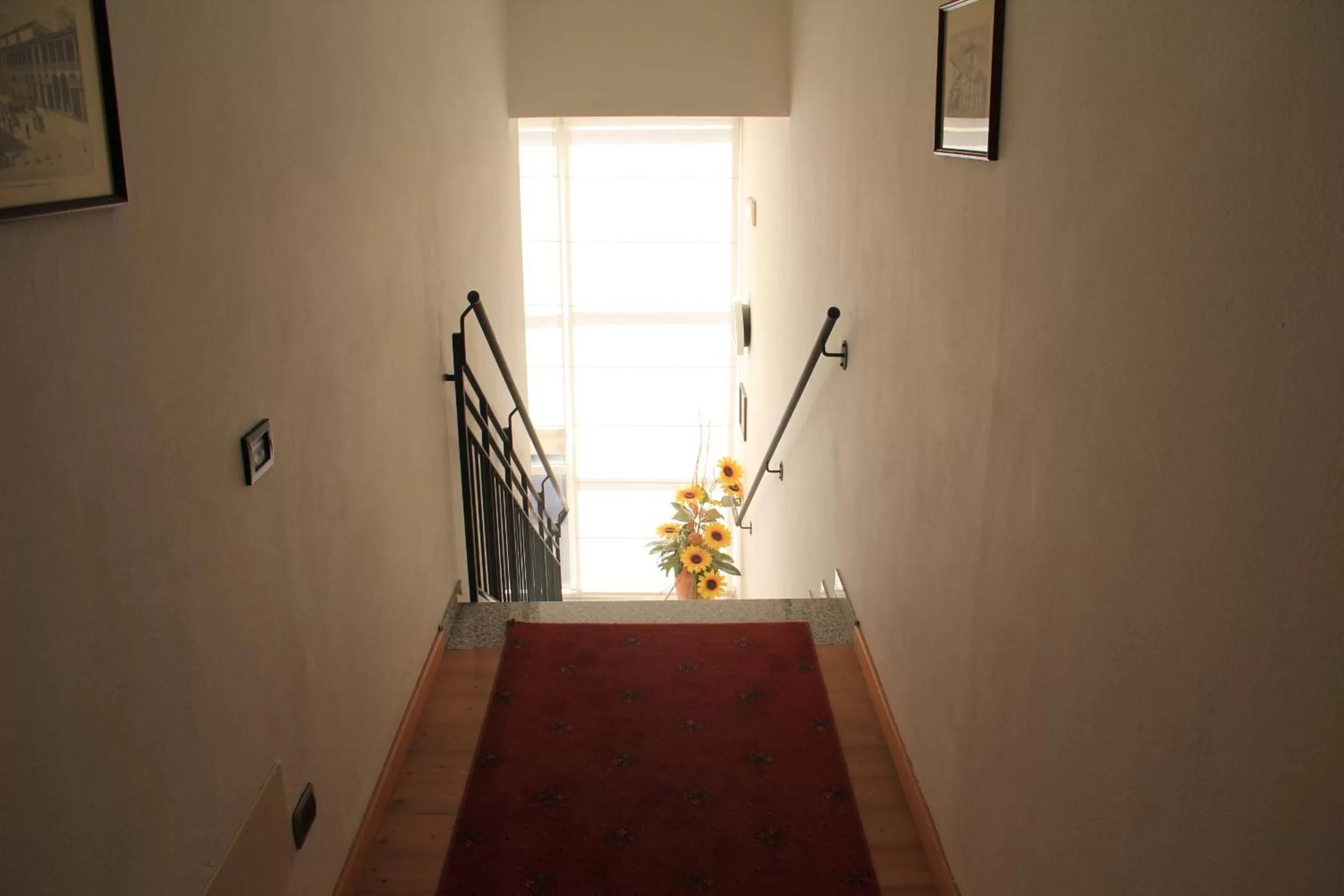 Area and facilities in Hotel Rubicone