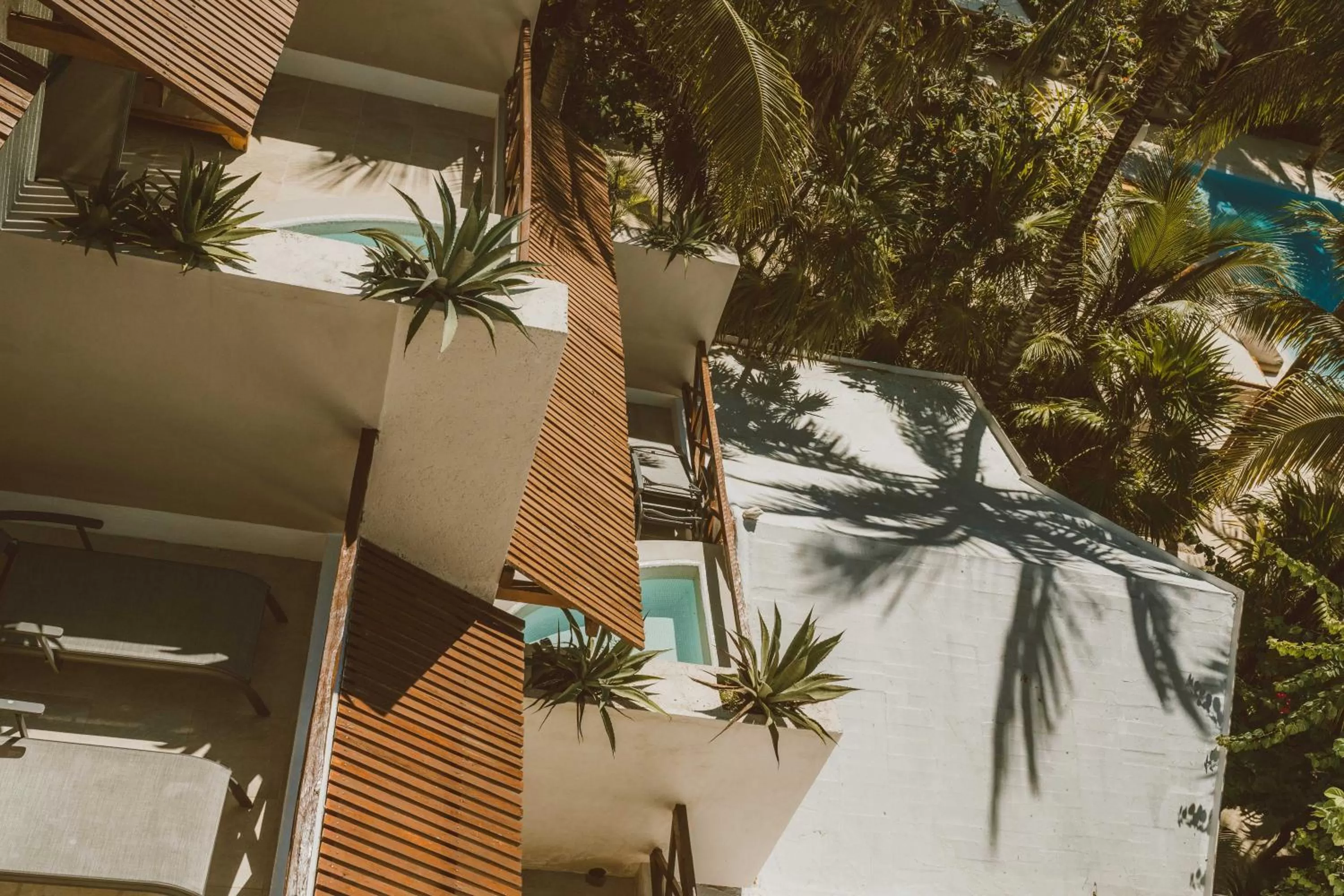 Property building in Jashita Hotel