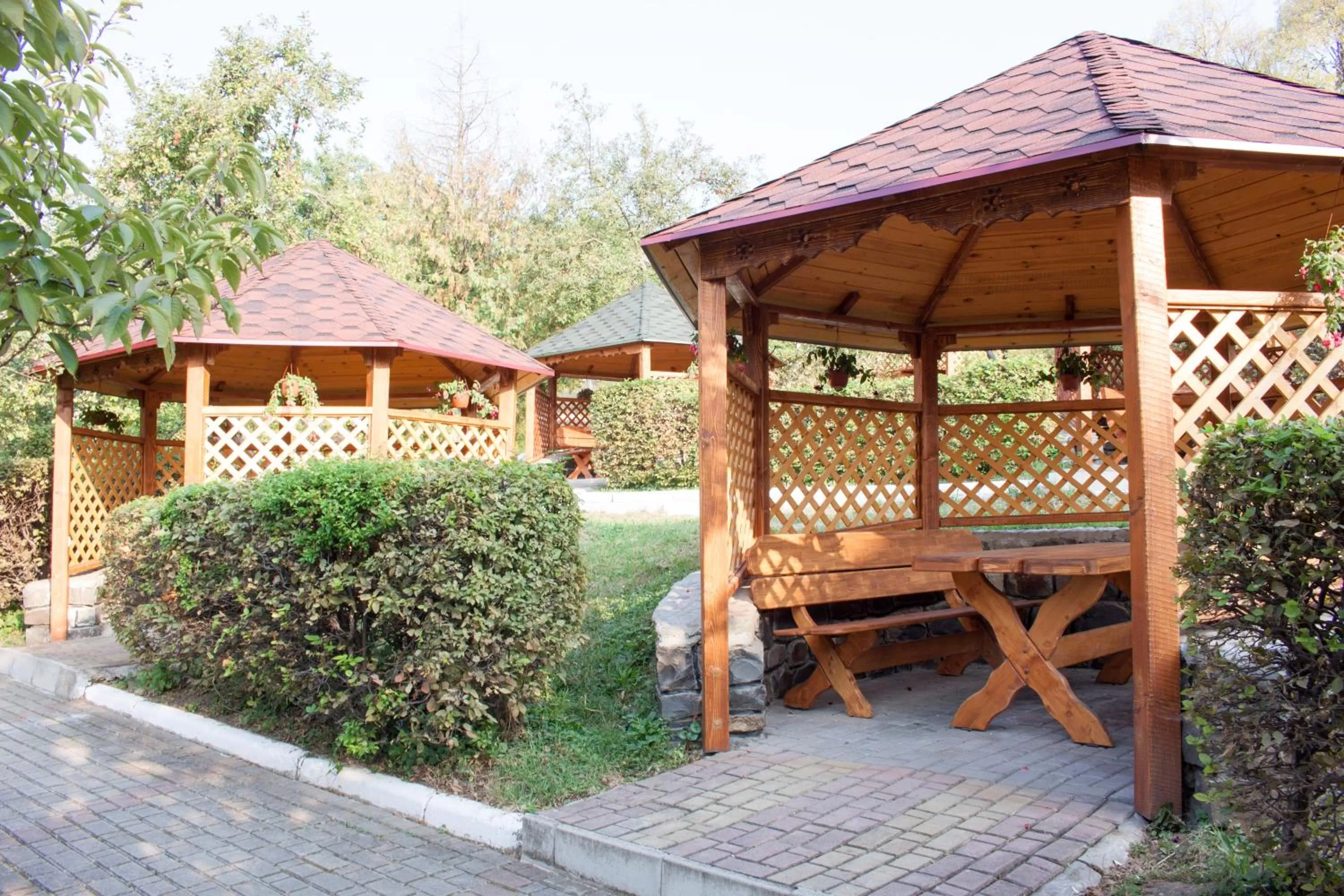 Balcony/Terrace in Chervona Gora